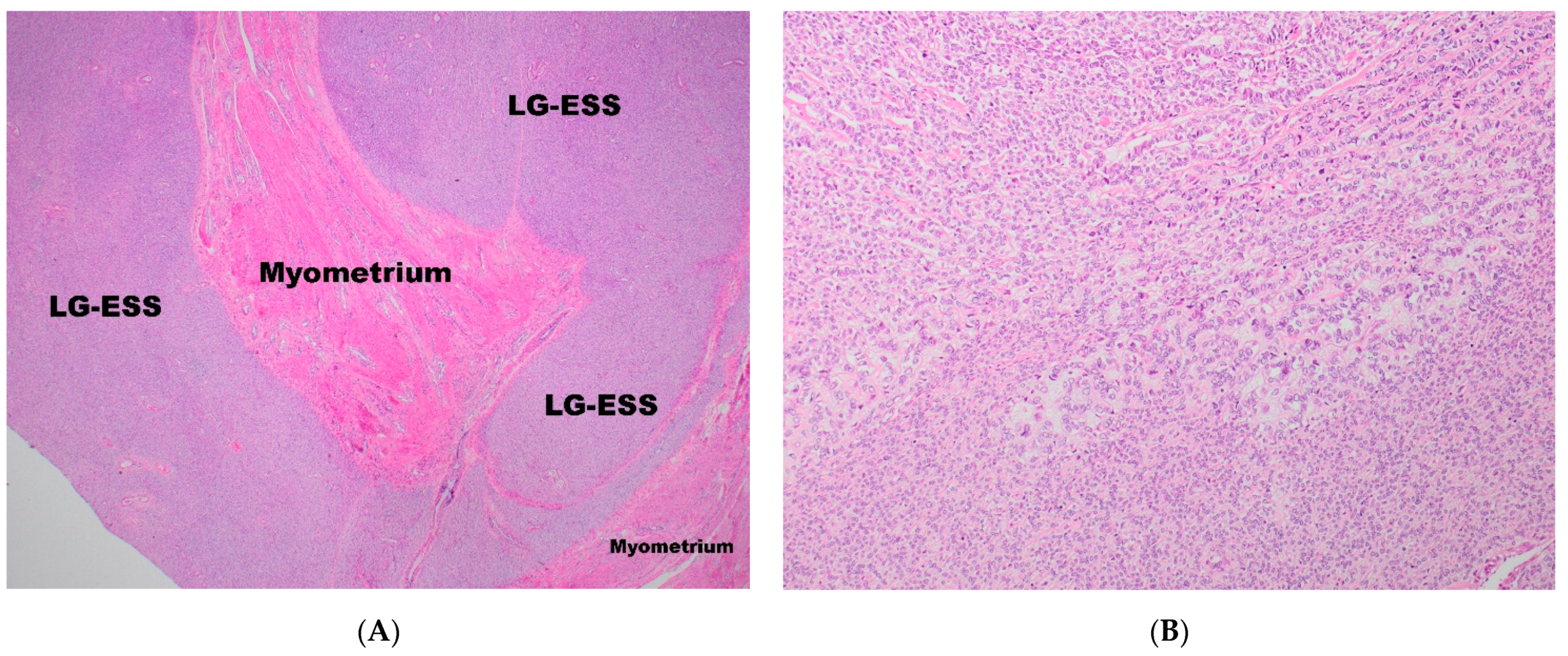 Diagnostics 11 00429 g002