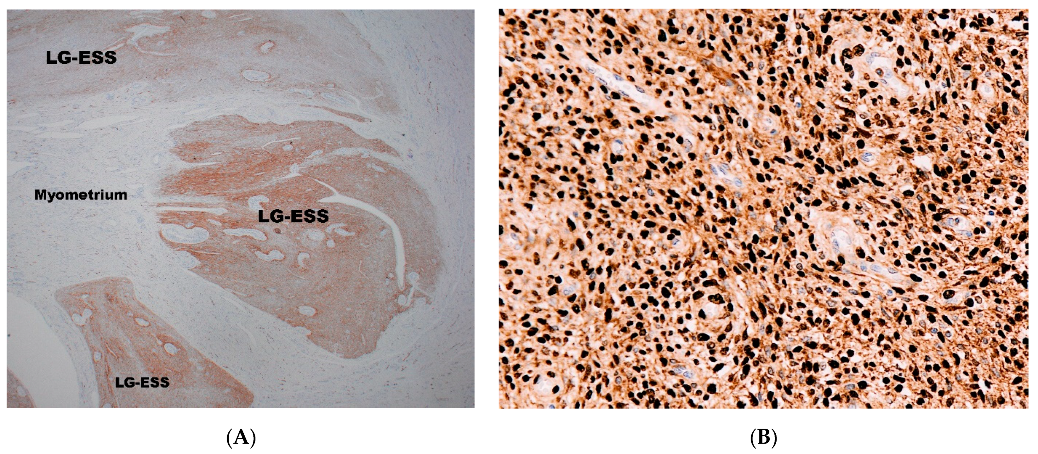 Diagnostics 11 00429 g003