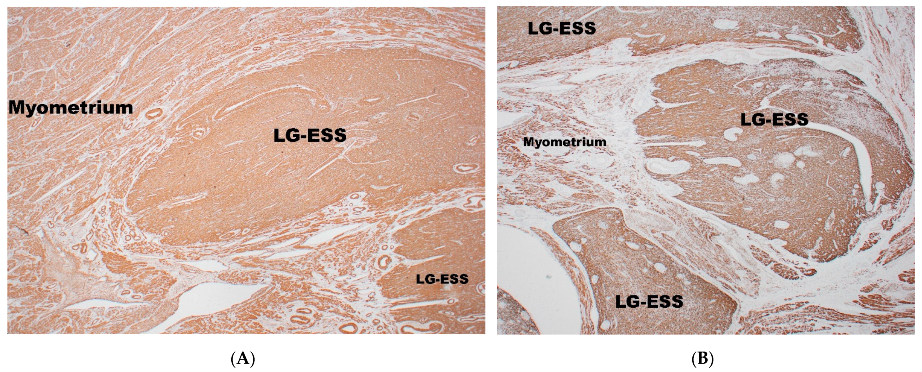 Diagnostics 11 00429 g004