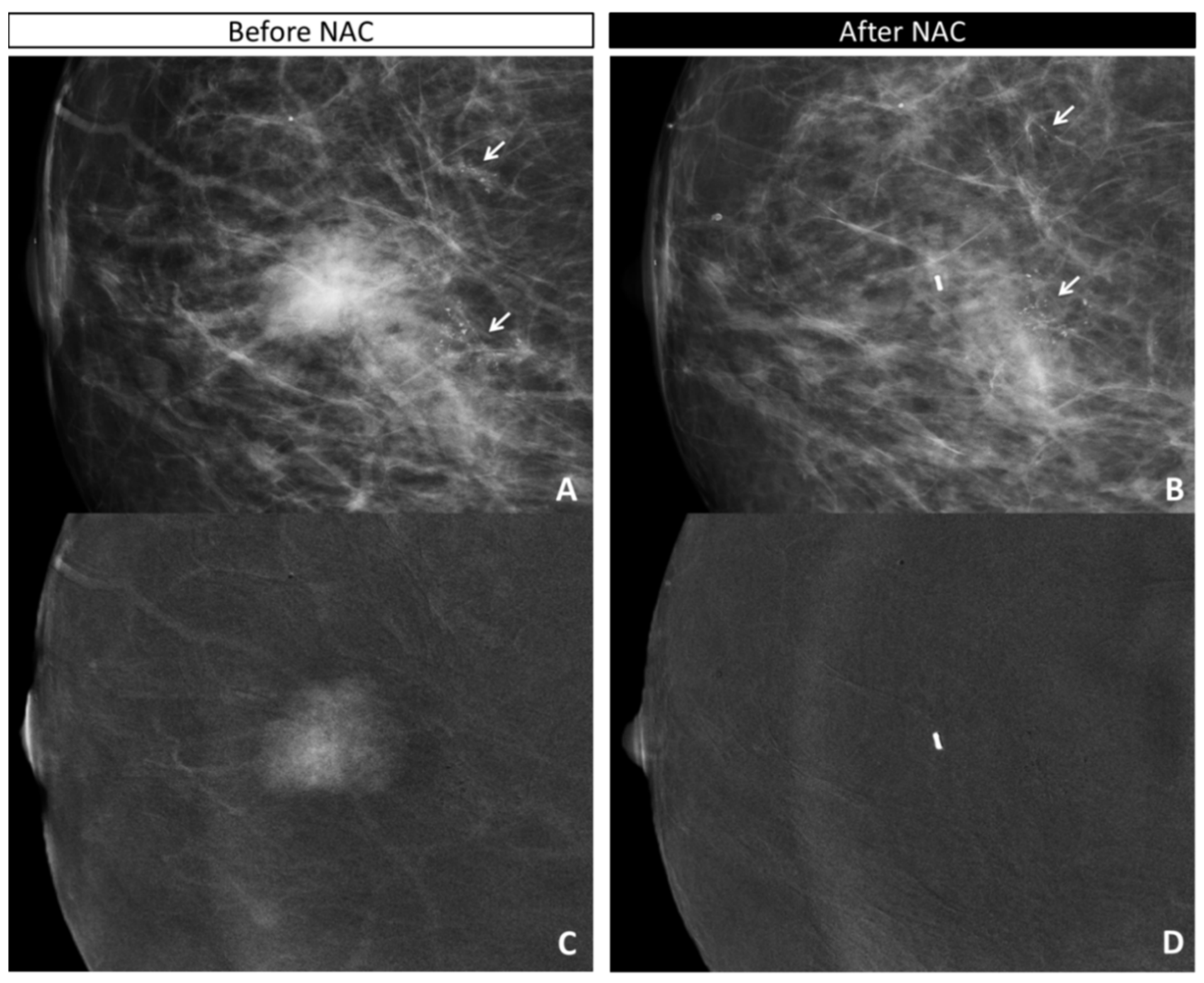 Diagnostics 11 00435 g002 Diagnostics 11 00435 g002