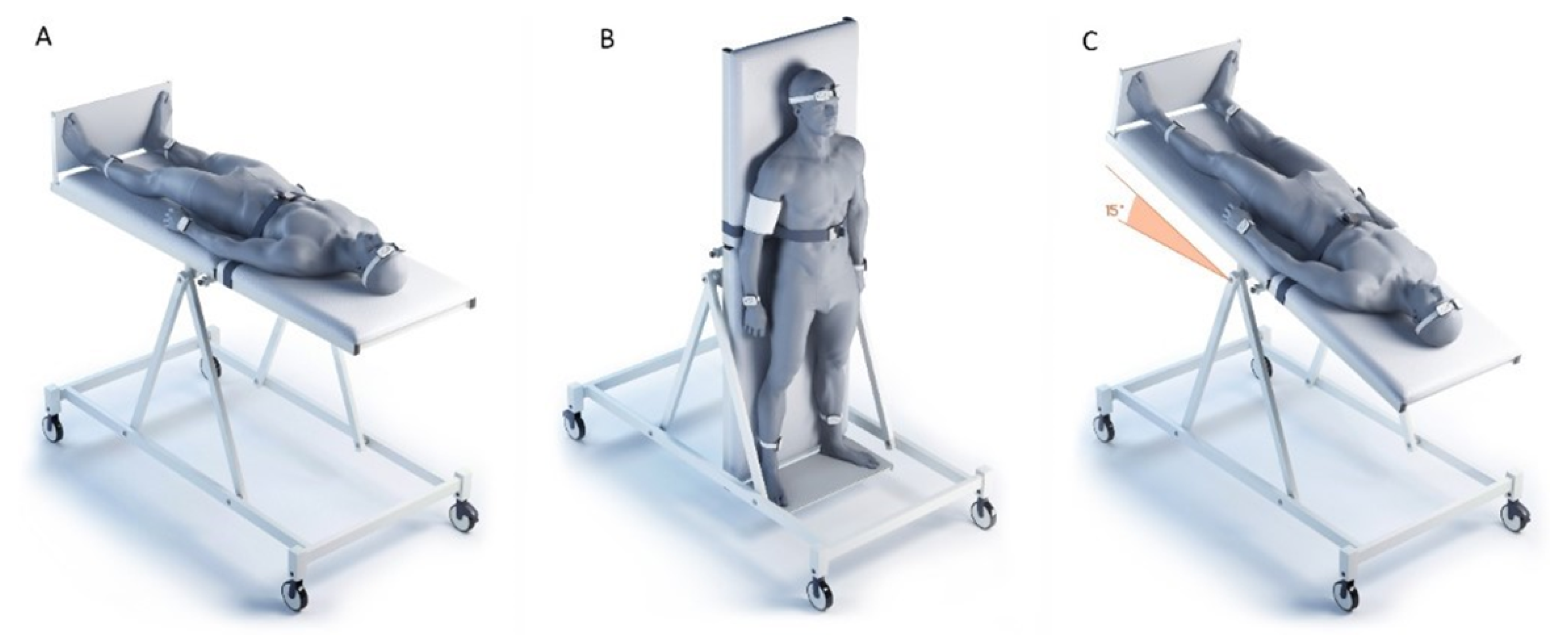 Diagnostics 11 00436 g002