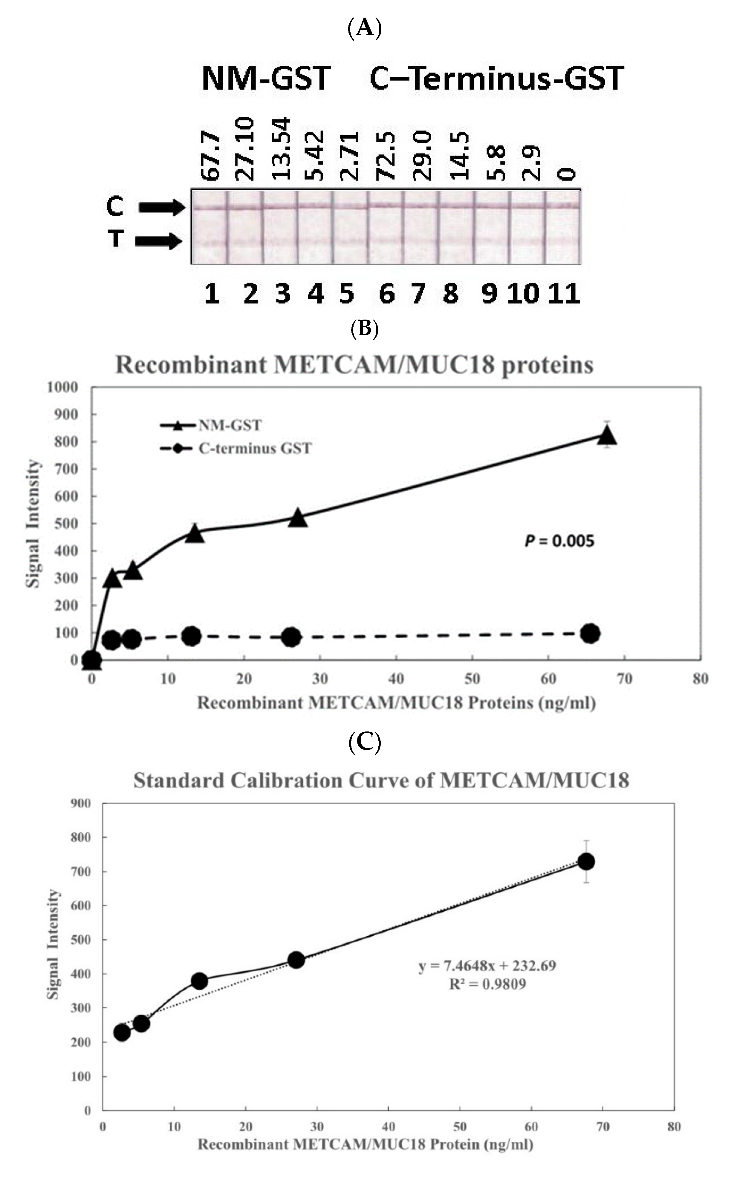 Diagnostics 11 00443 g002