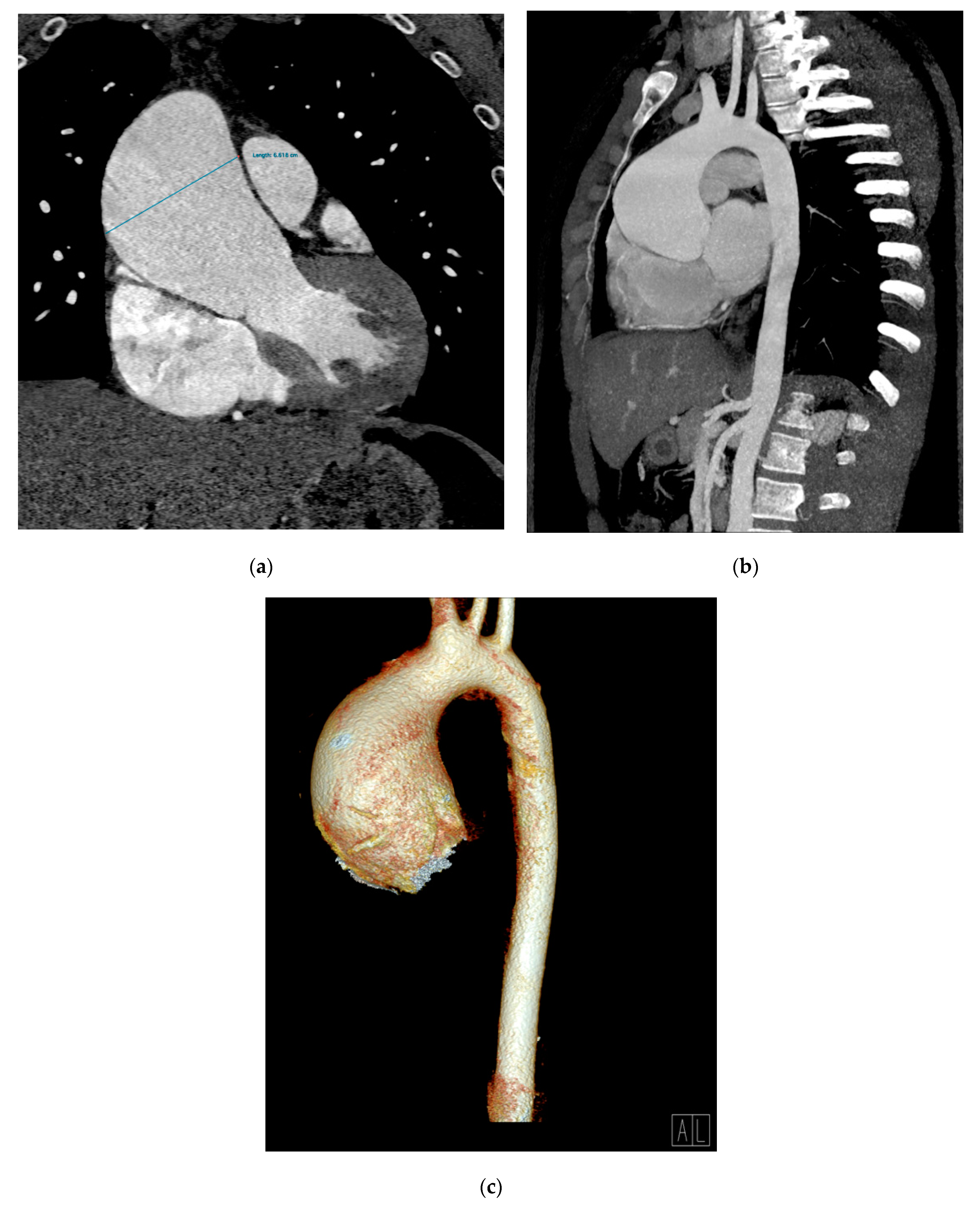 Diagnostics 11 00446 g003