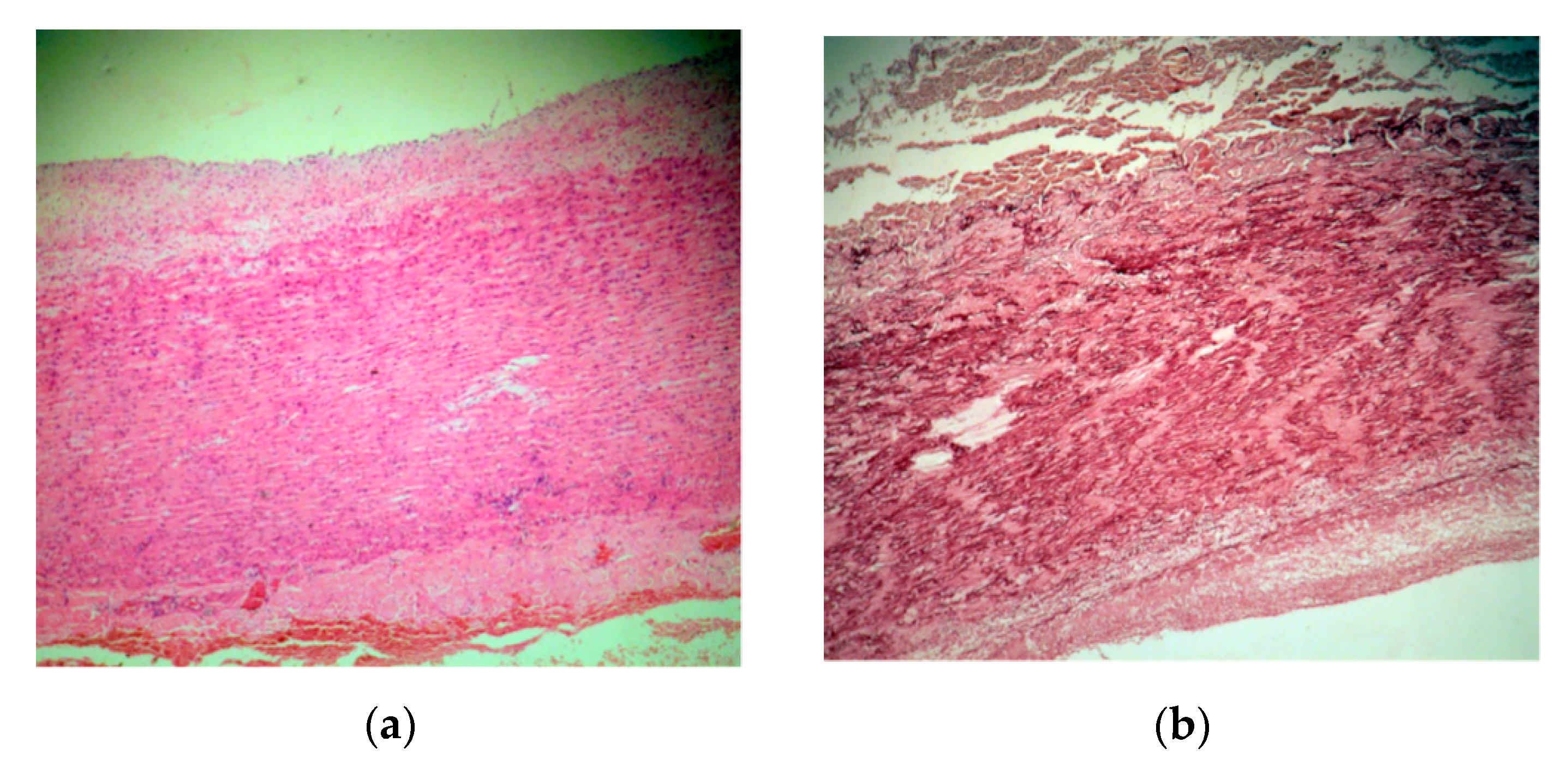 Diagnostics 11 00446 g005a