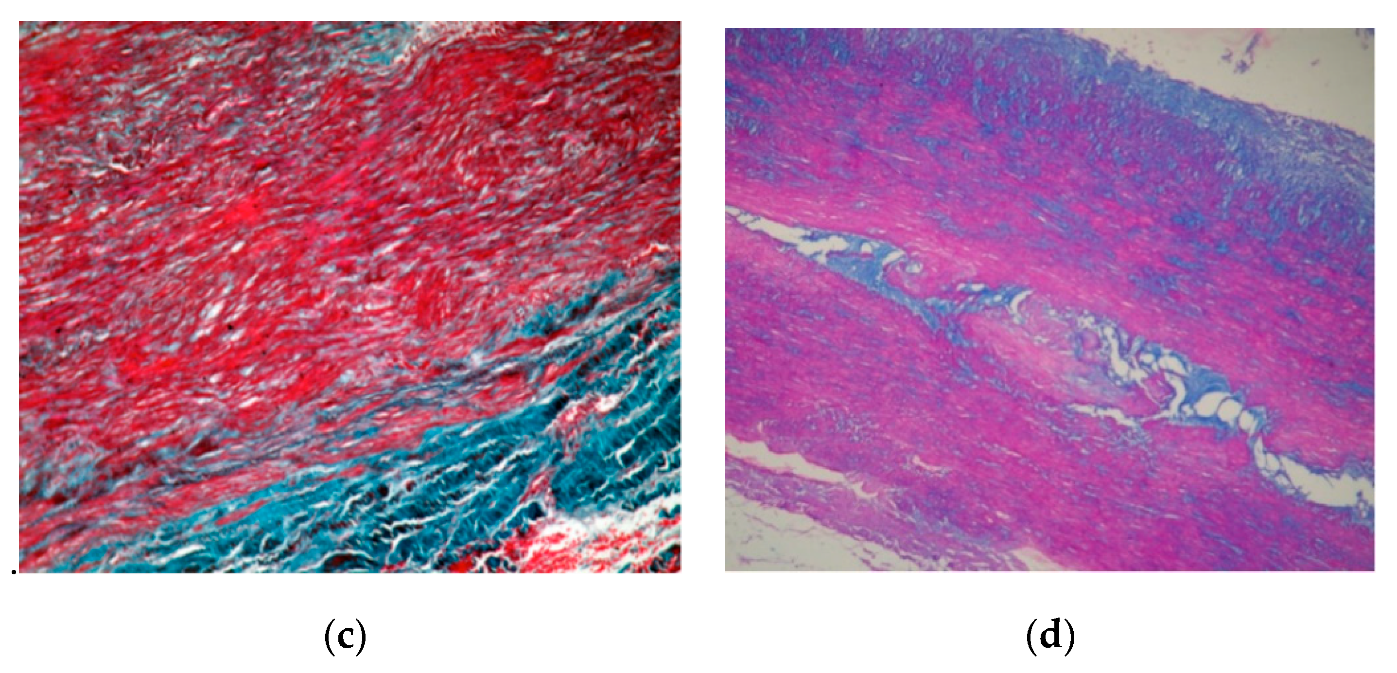 Diagnostics 11 00446 g005b