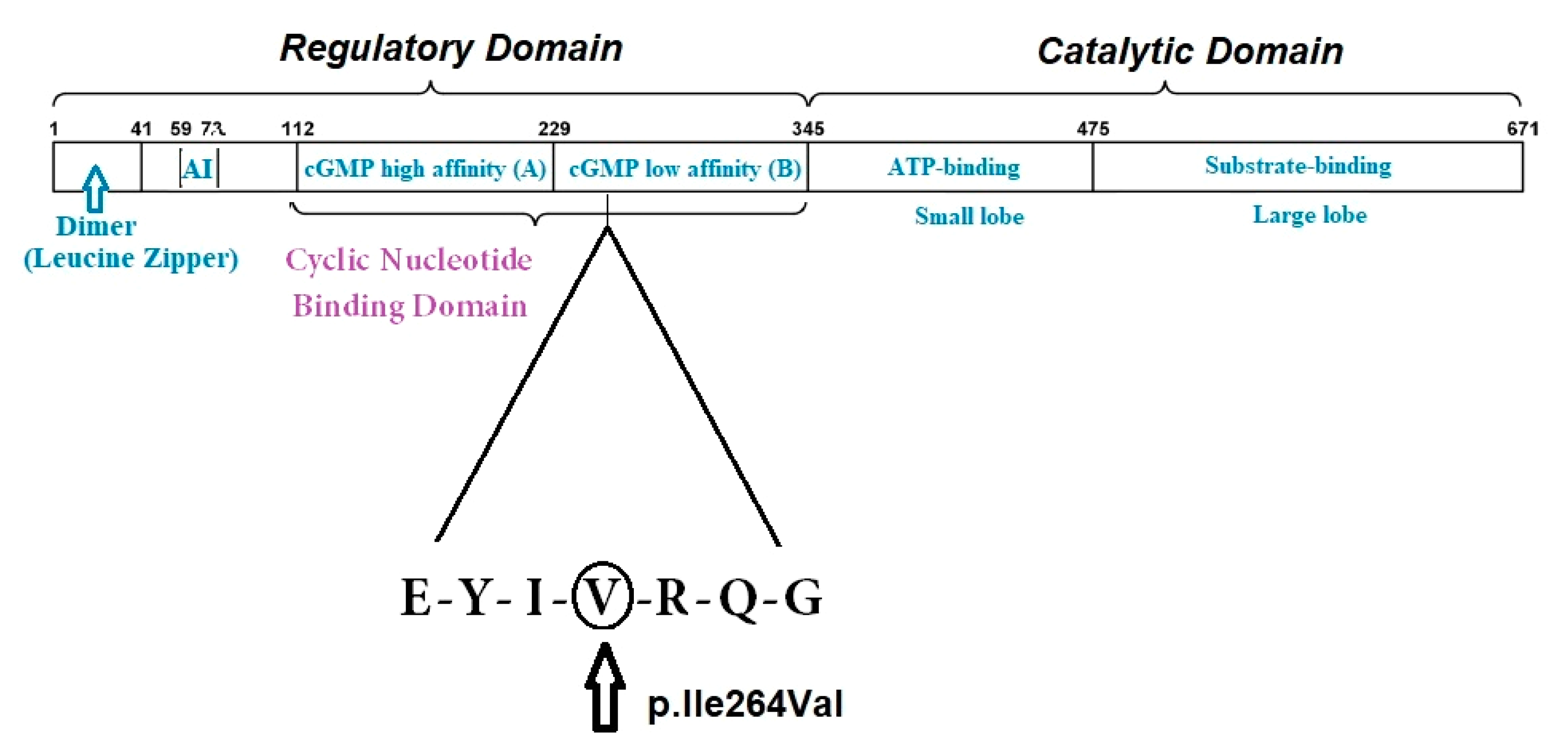 Diagnostics 11 00446 g006