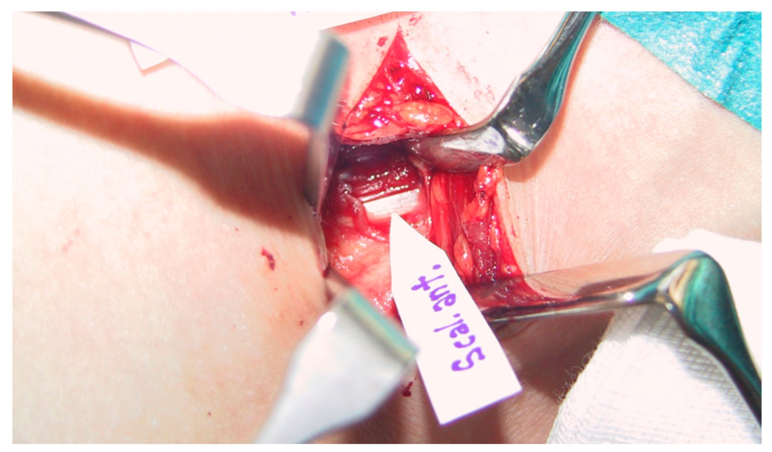 Diagnostics 11 00450 g002 Diagnostics 11 00450 g002