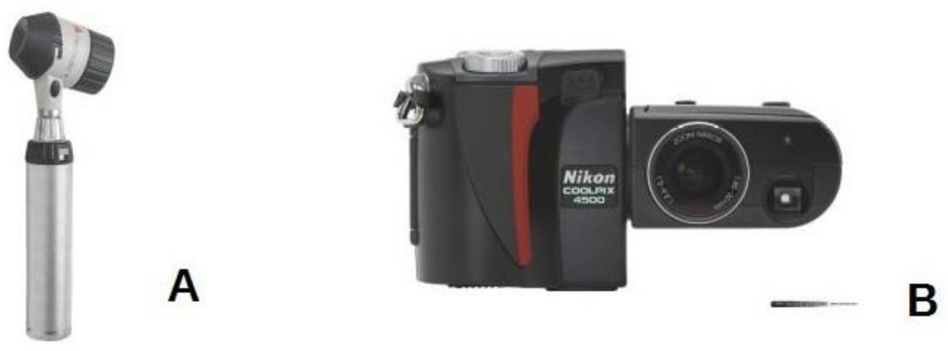 Diagnostics 11 00451 g001 Diagnostics 11 00451 g001