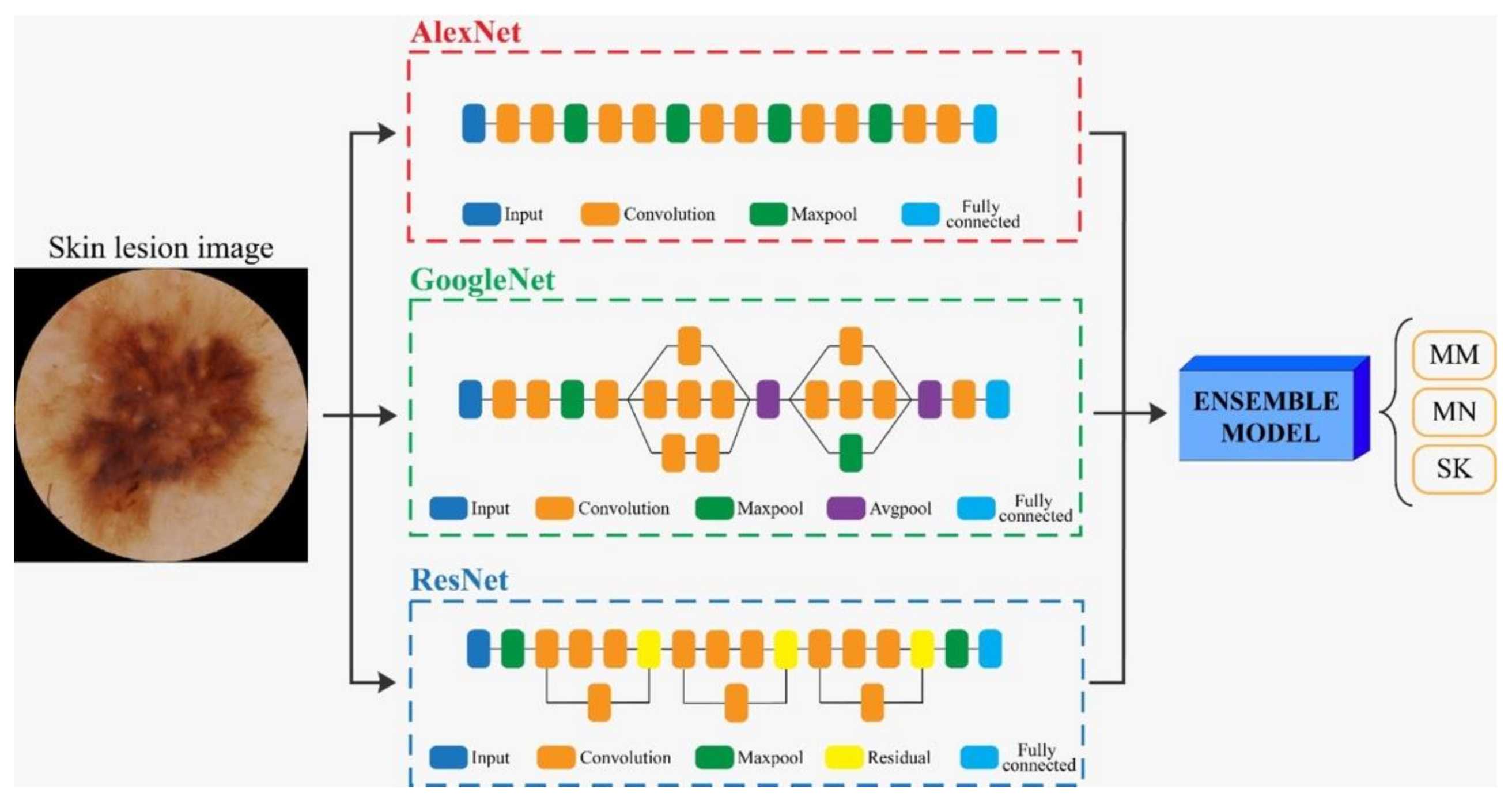 Diagnostics 11 00451 g007 Diagnostics 11 00451 g007