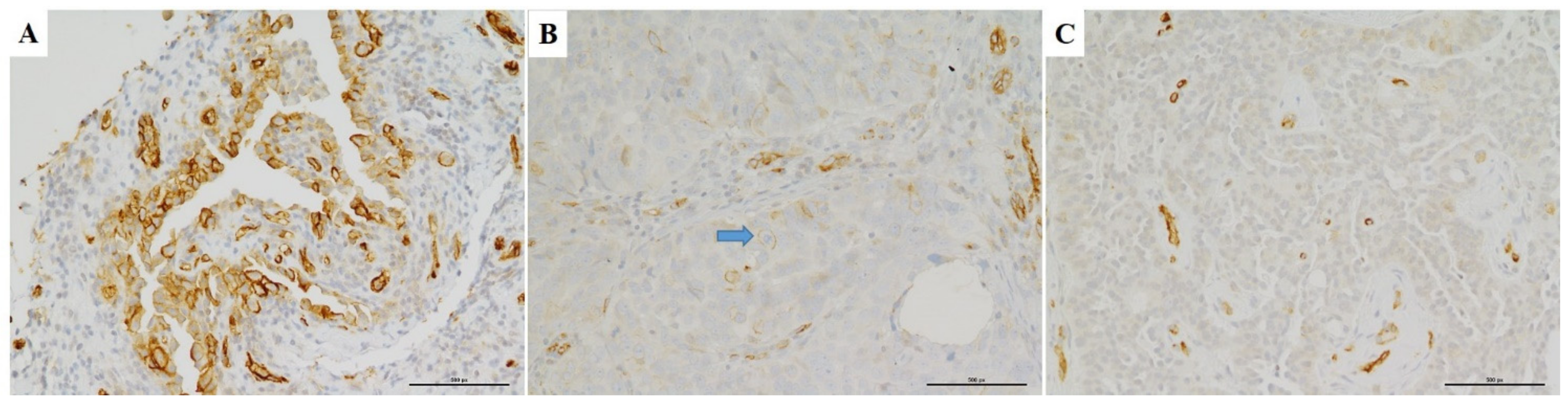 Diagnostics 11 00452 g001 Diagnostics 11 00452 g001