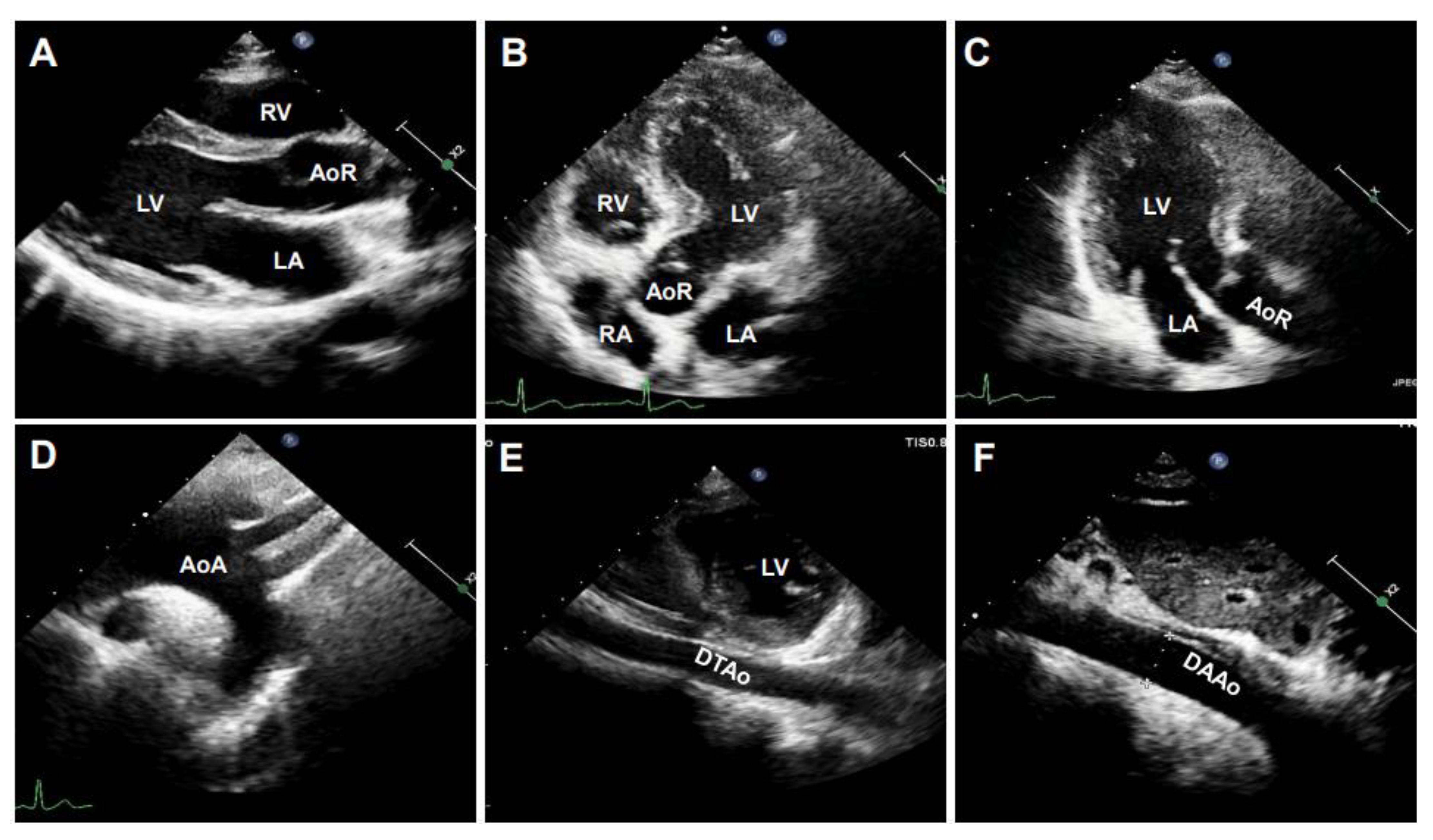 Diagnostics 11 00454 g003