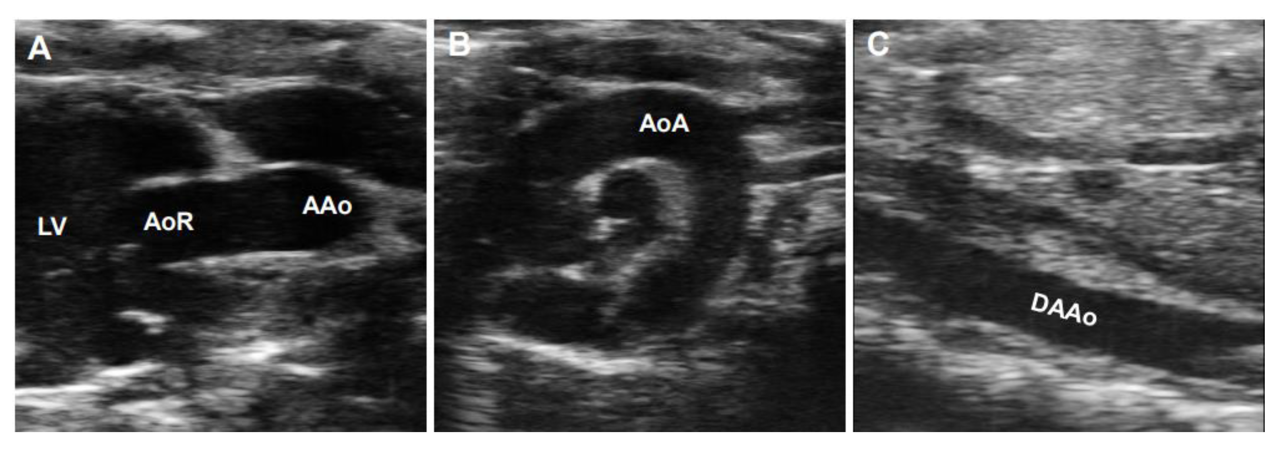 Diagnostics 11 00454 g004