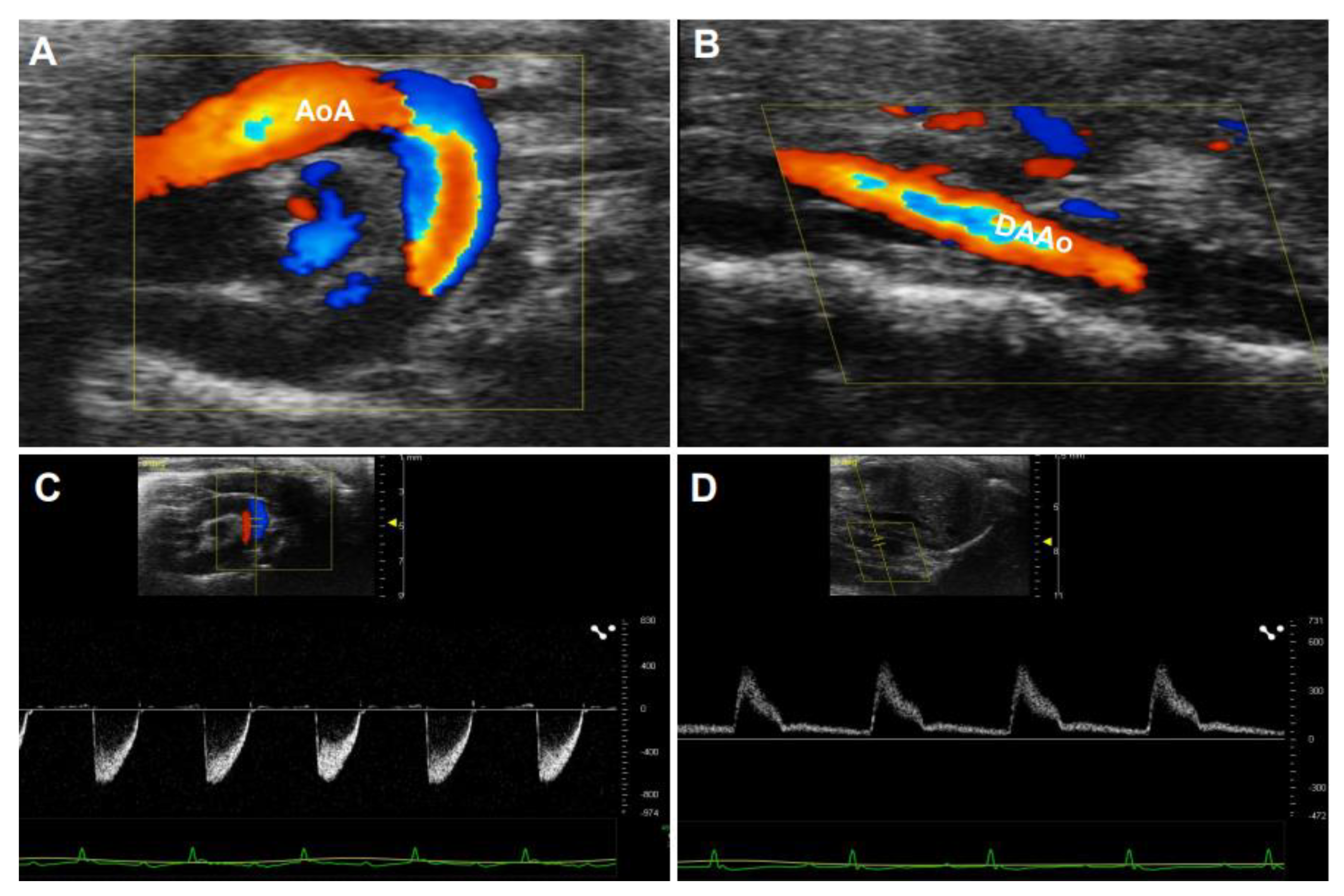 Diagnostics 11 00454 g006