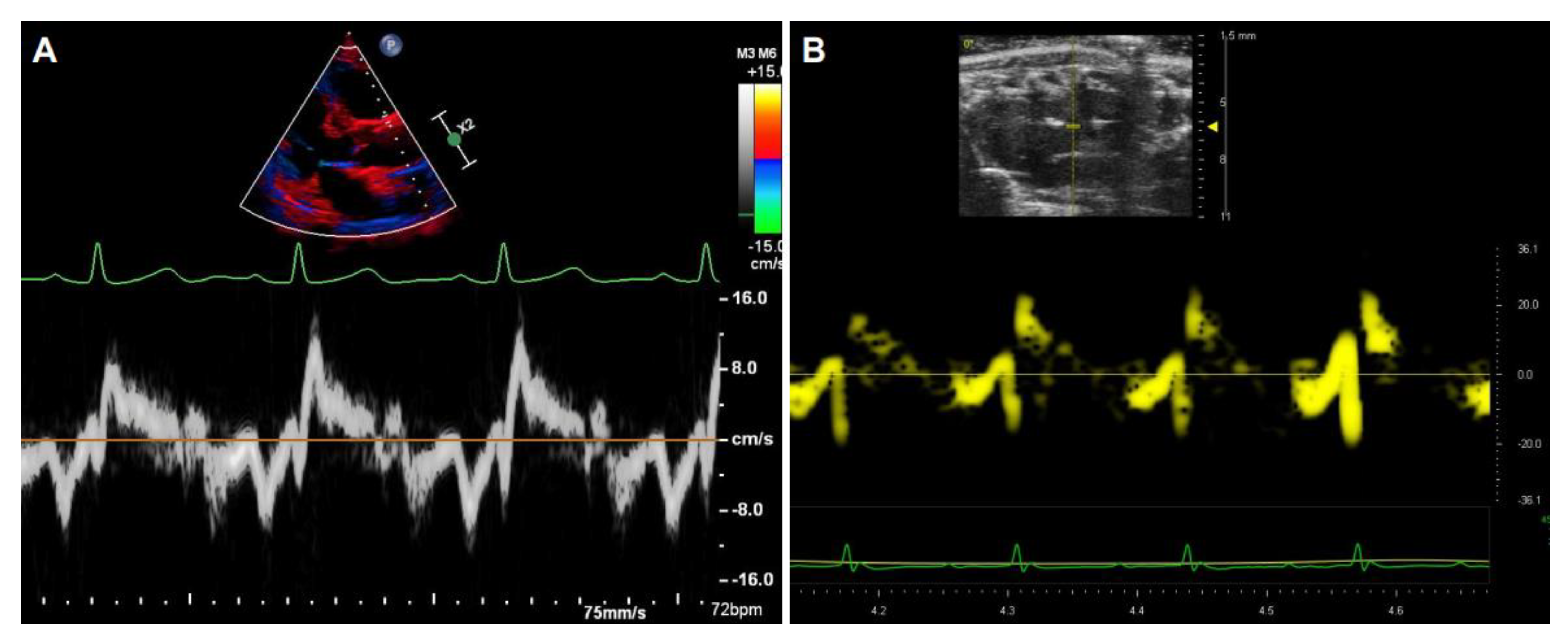 Diagnostics 11 00454 g008
