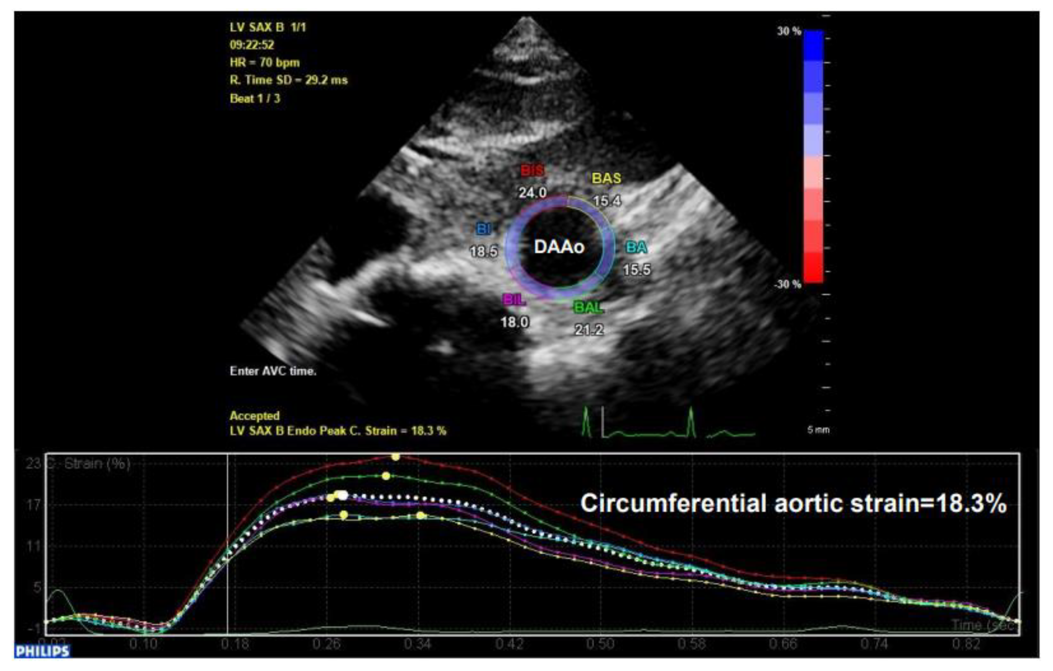 Diagnostics 11 00454 g009