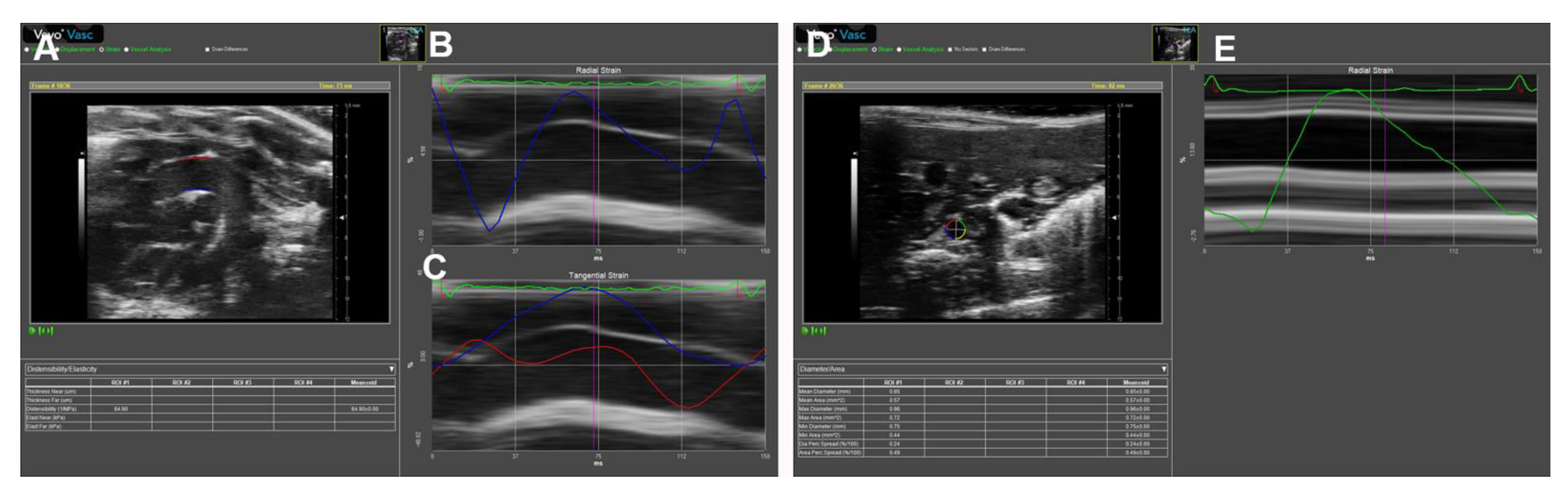 Diagnostics 11 00454 g010