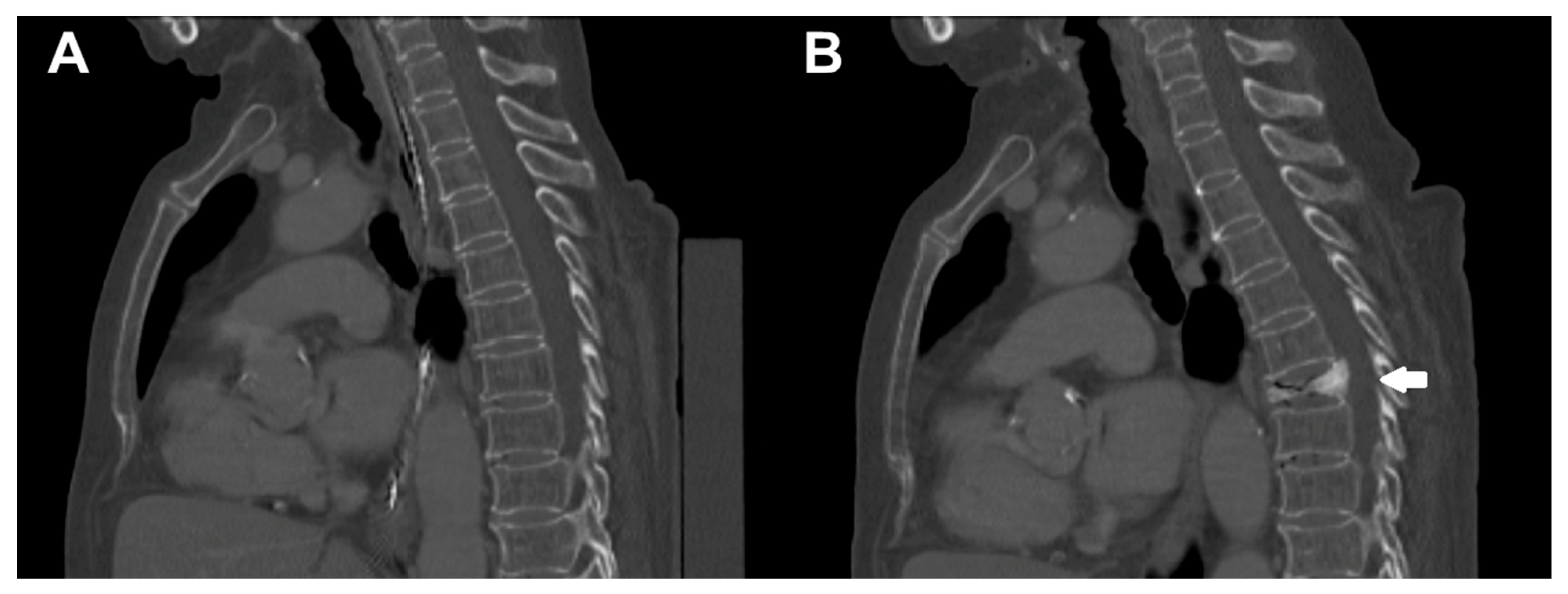 Diagnostics 11 00455 g002