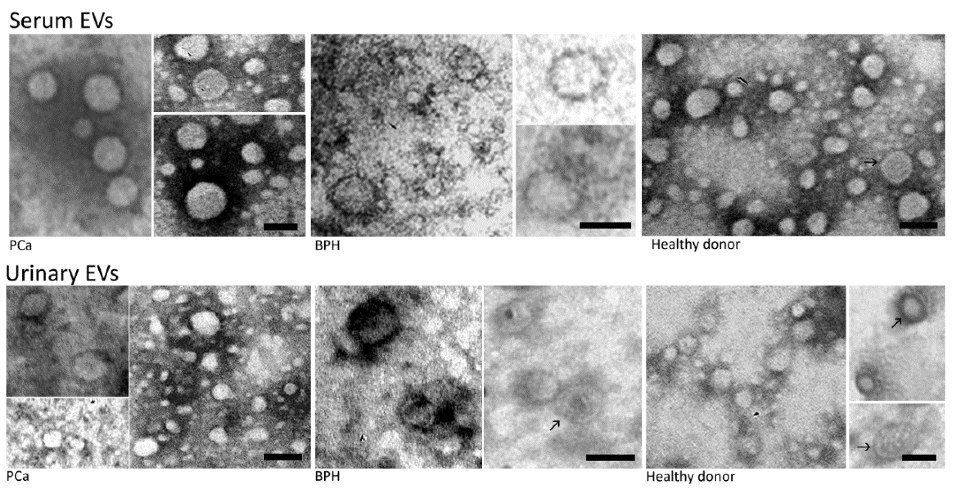Diagnostics 11 00466 g002