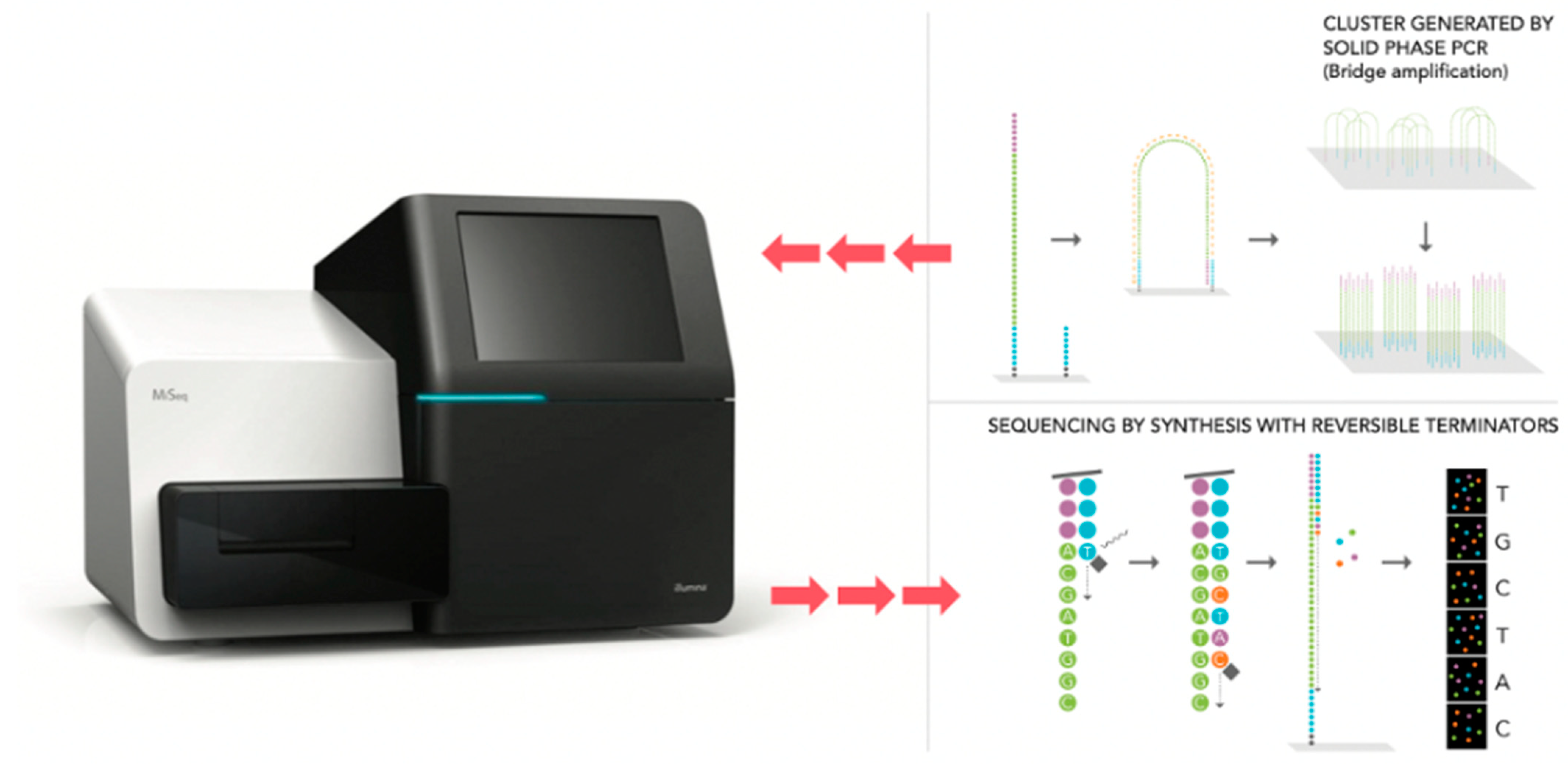 Diagnostics 11 00479 g002 Diagnostics 11 00479 g002