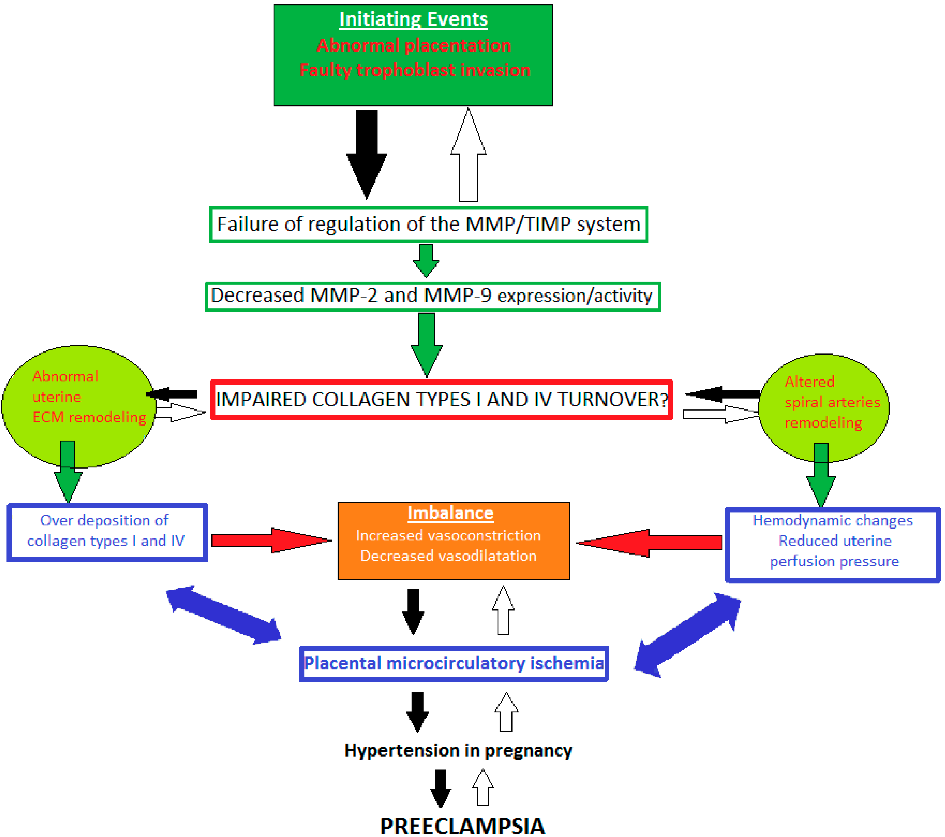 Diagnostics 11 00480 g001 Diagnostics 11 00480 g001
