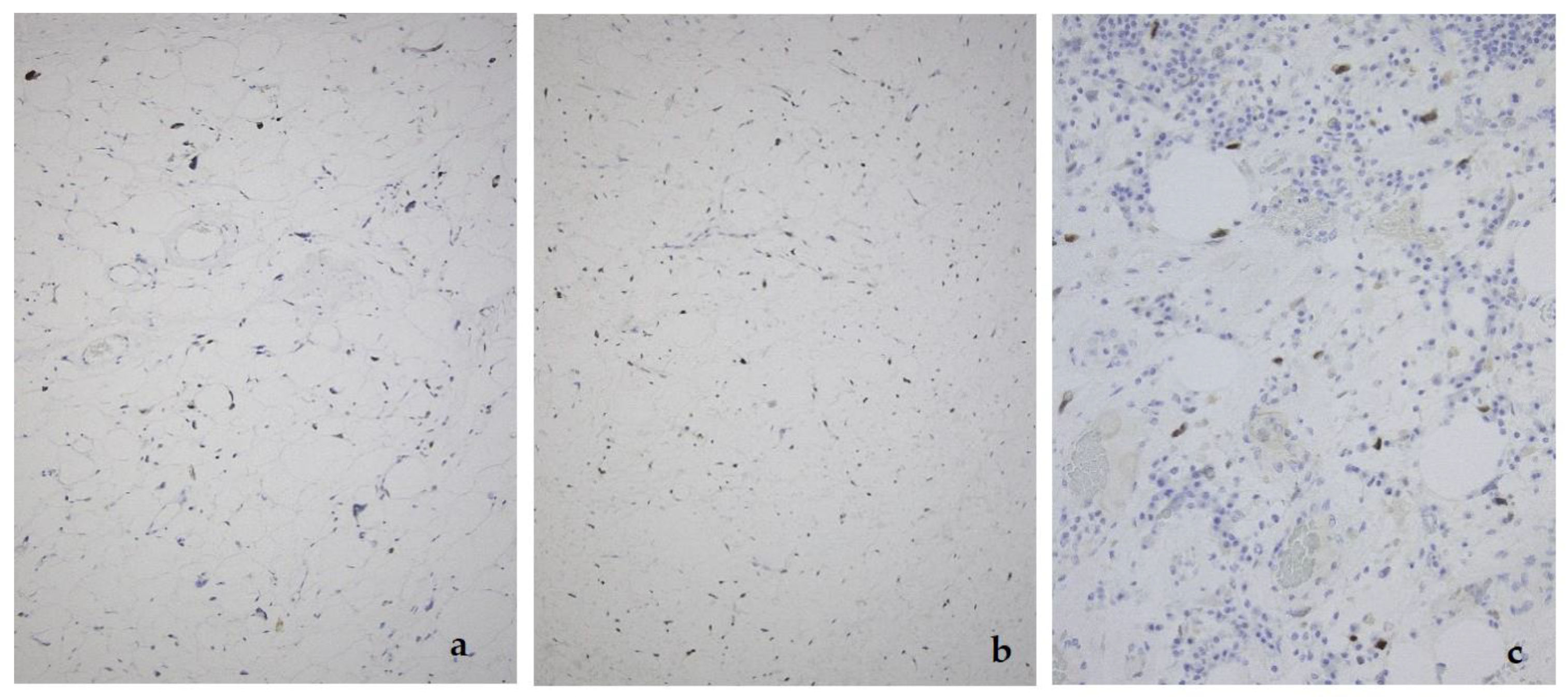 Diagnostics 11 00496 g005 Diagnostics 11 00496 g005