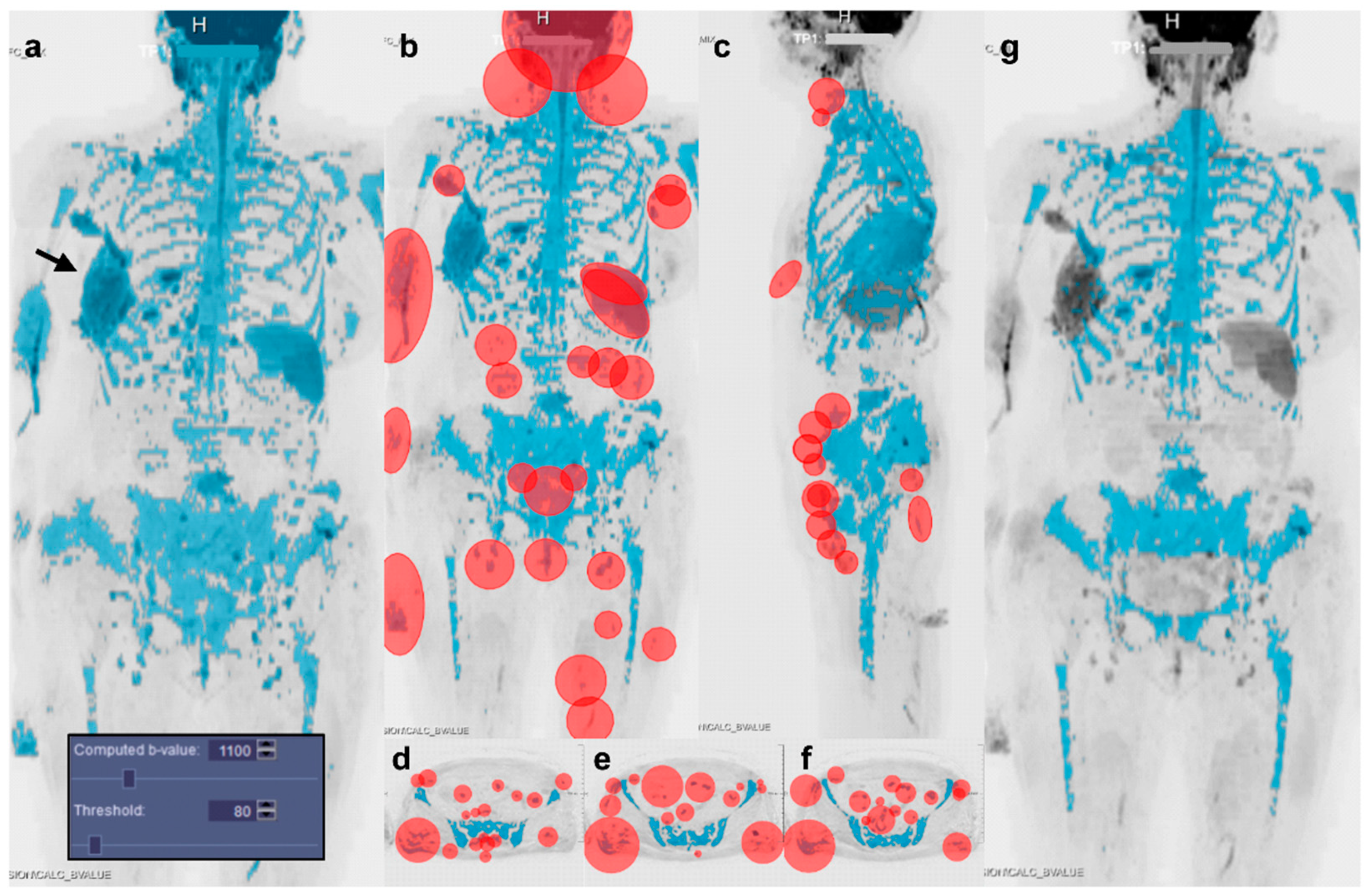 Diagnostics 11 00499 g001 Diagnostics 11 00499 g001