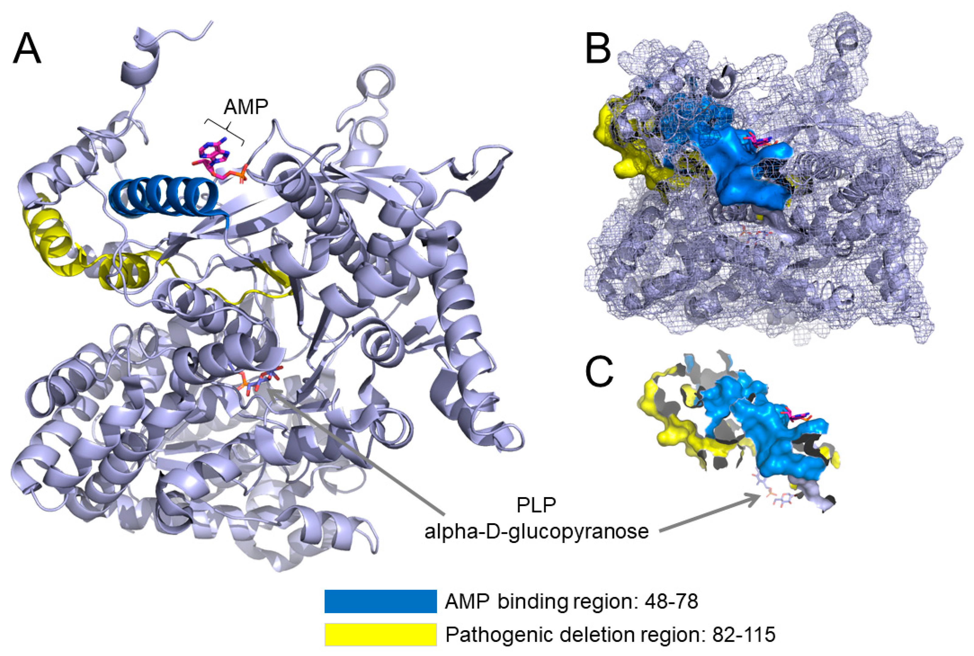 Diagnostics 11 00500 g002