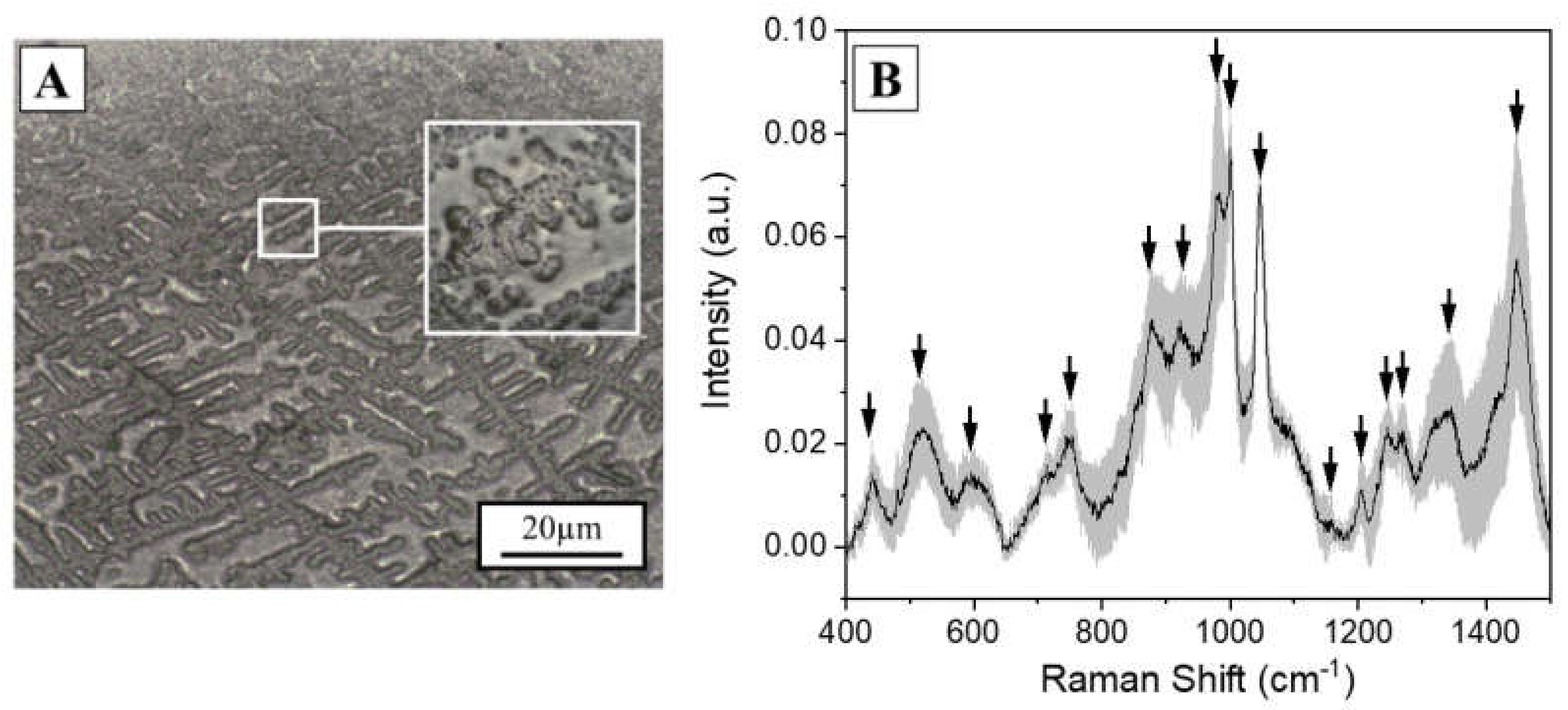 Diagnostics 11 00508 g001 Diagnostics 11 00508 g001