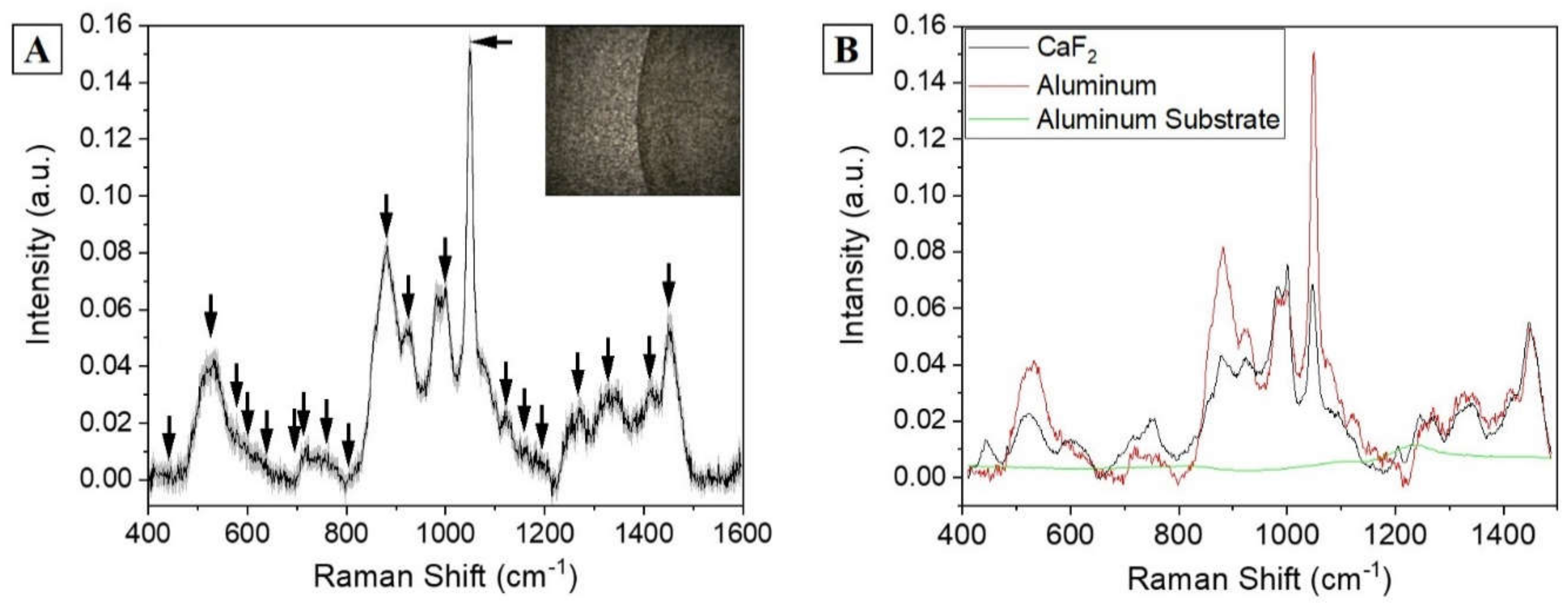 Diagnostics 11 00508 g002 Diagnostics 11 00508 g002