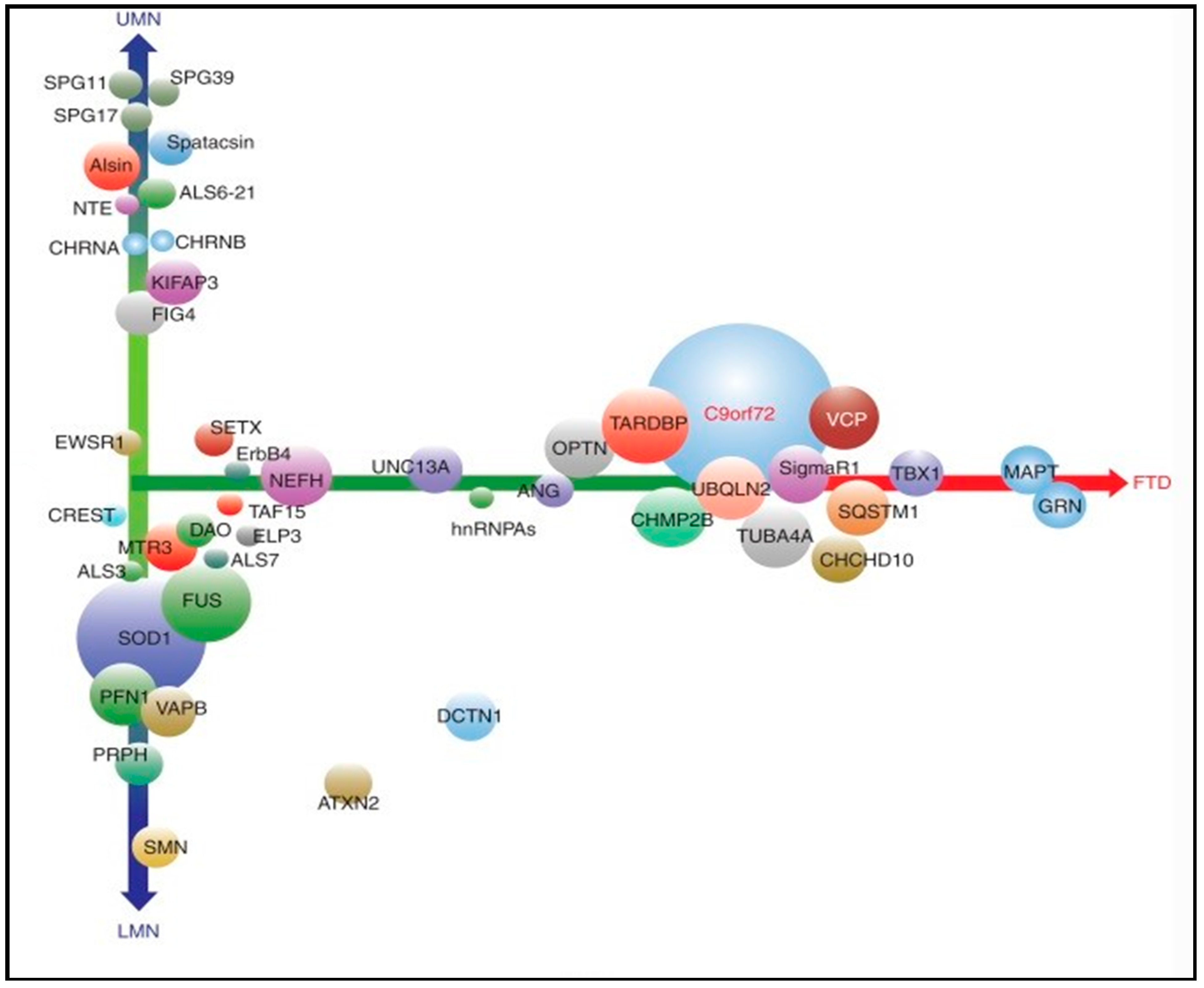 Diagnostics 11 00509 g003 Diagnostics 11 00509 g003