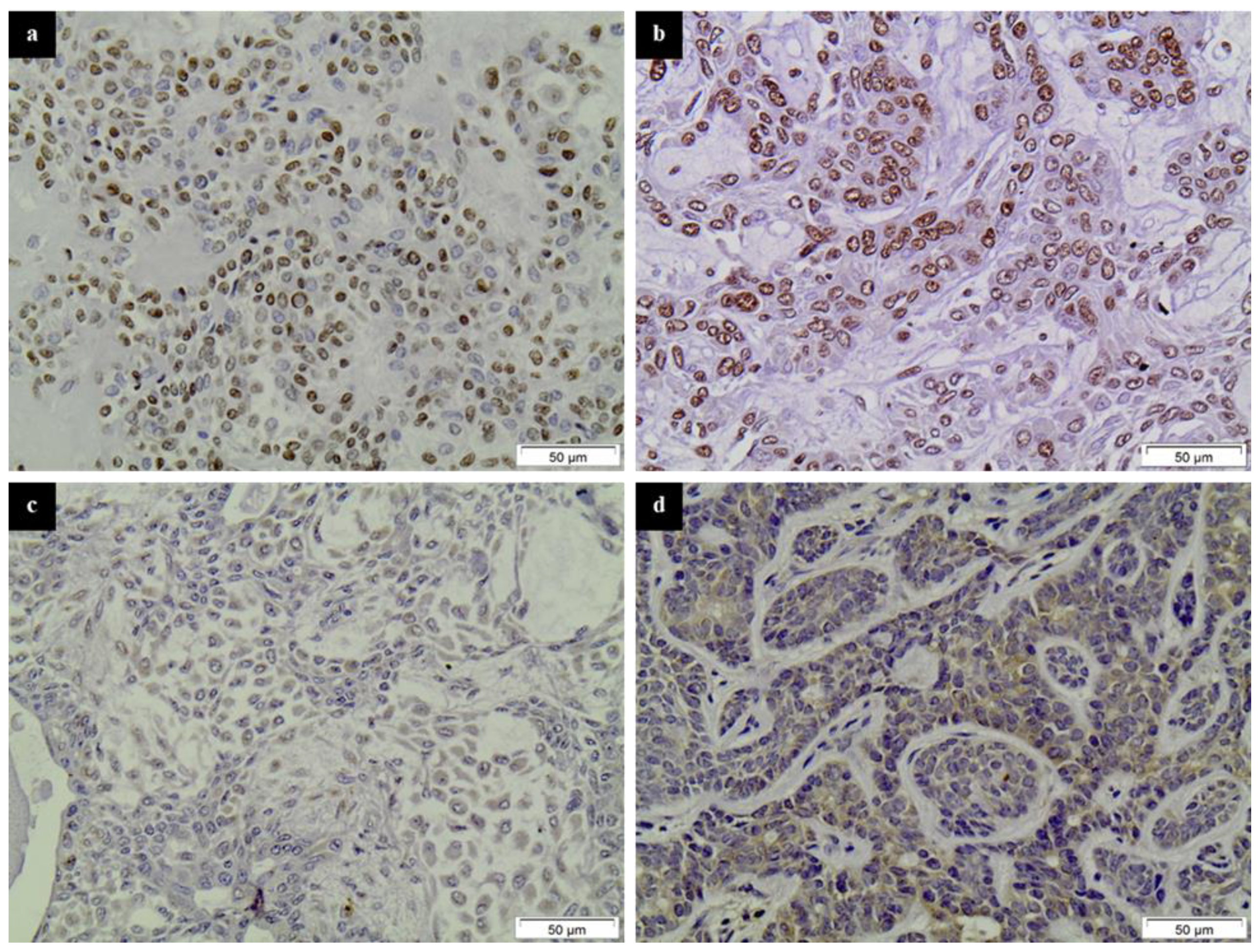 Diagnostics 11 00517 g001 Diagnostics 11 00517 g001