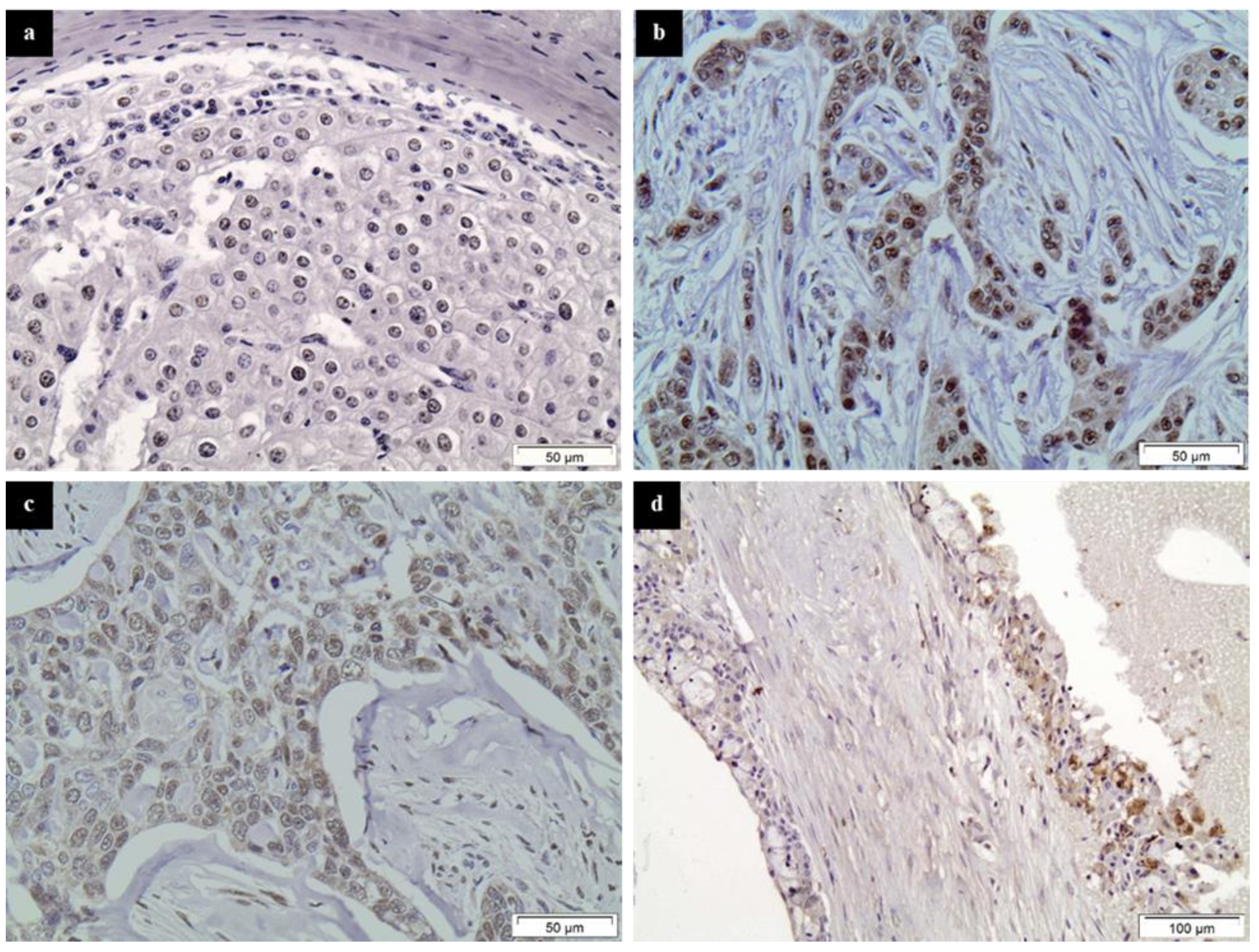 Diagnostics 11 00517 g002 Diagnostics 11 00517 g002