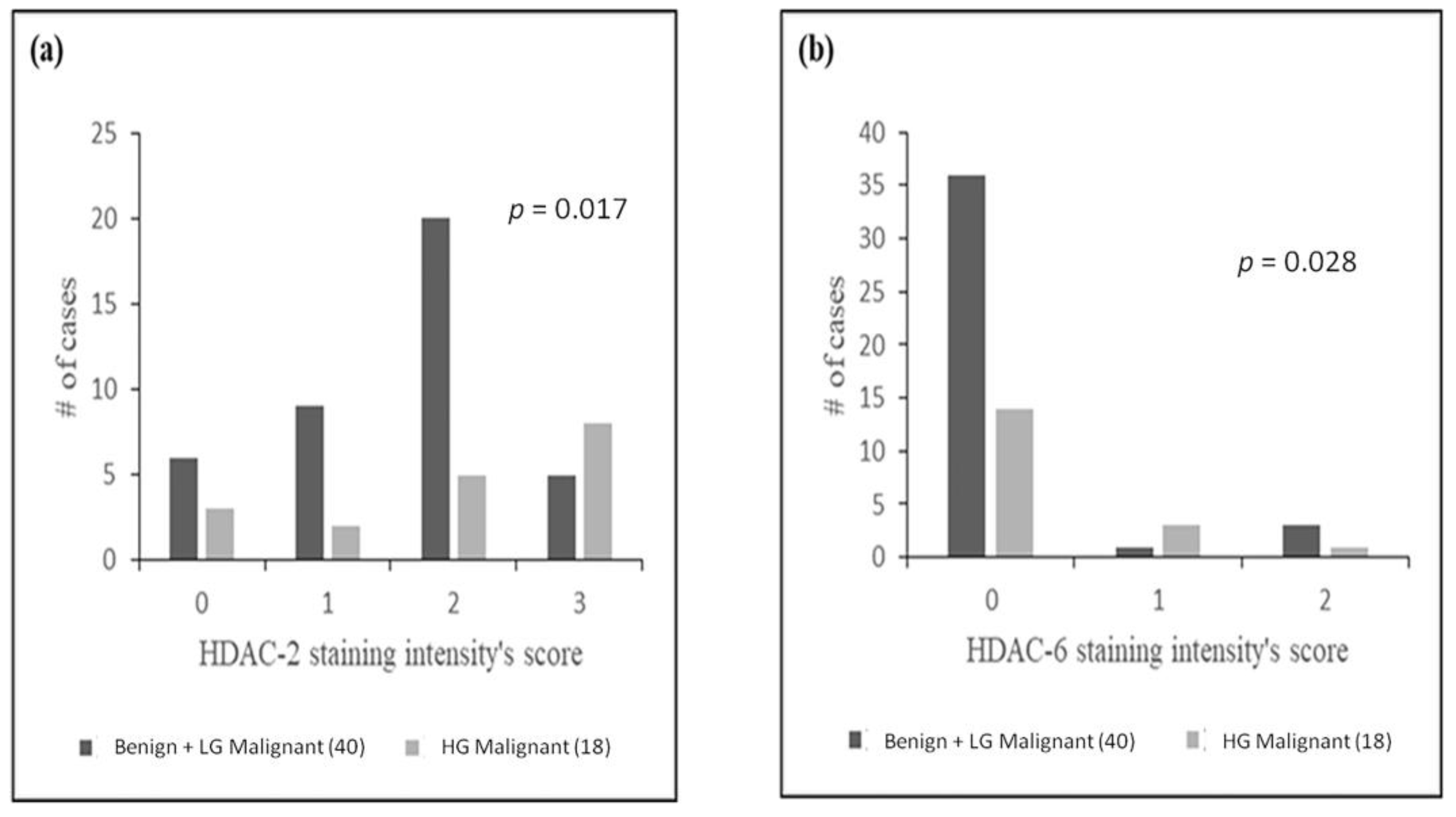 Diagnostics 11 00517 g003 Diagnostics 11 00517 g003
