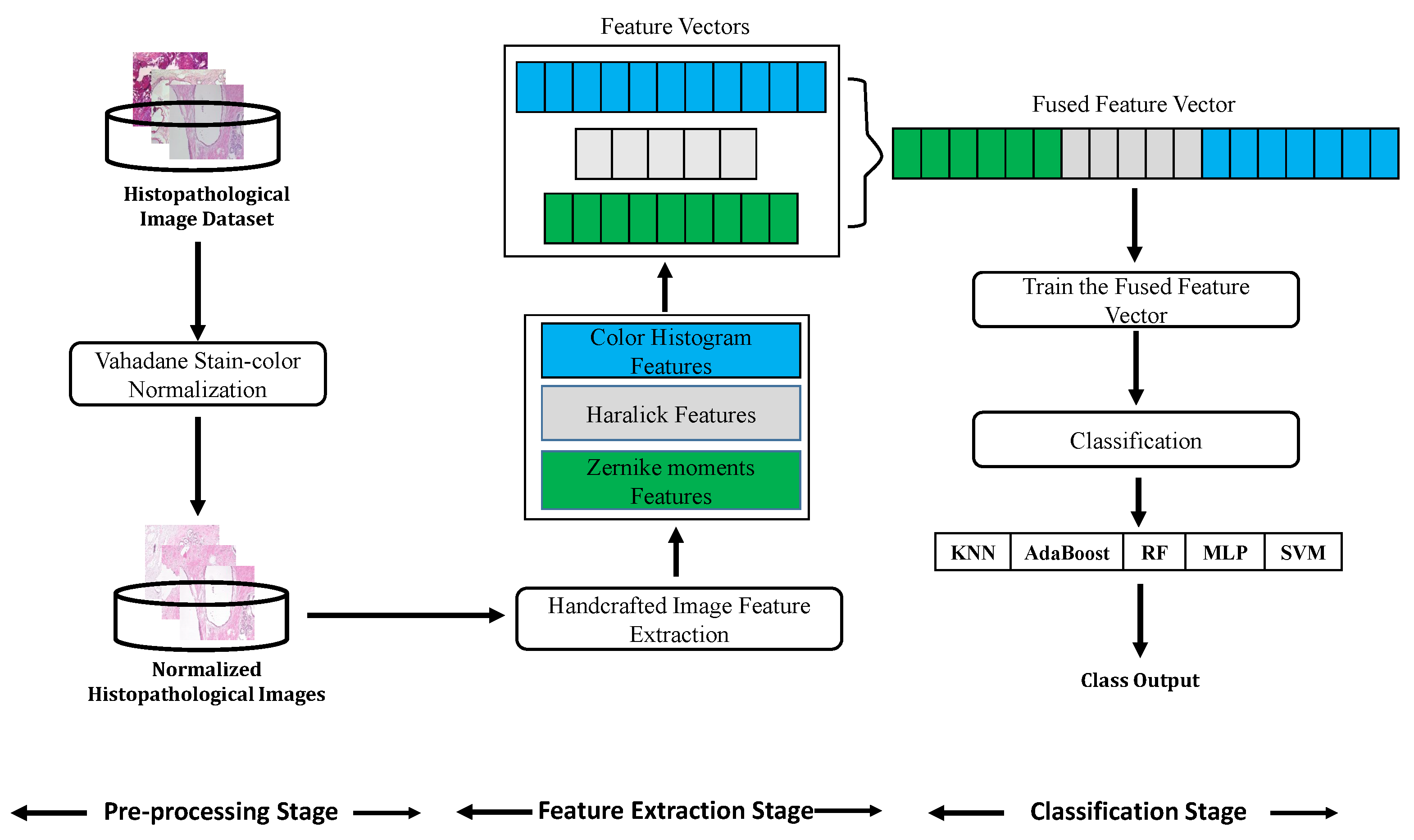 Diagnostics 11 00528 g002 Diagnostics 11 00528 g002