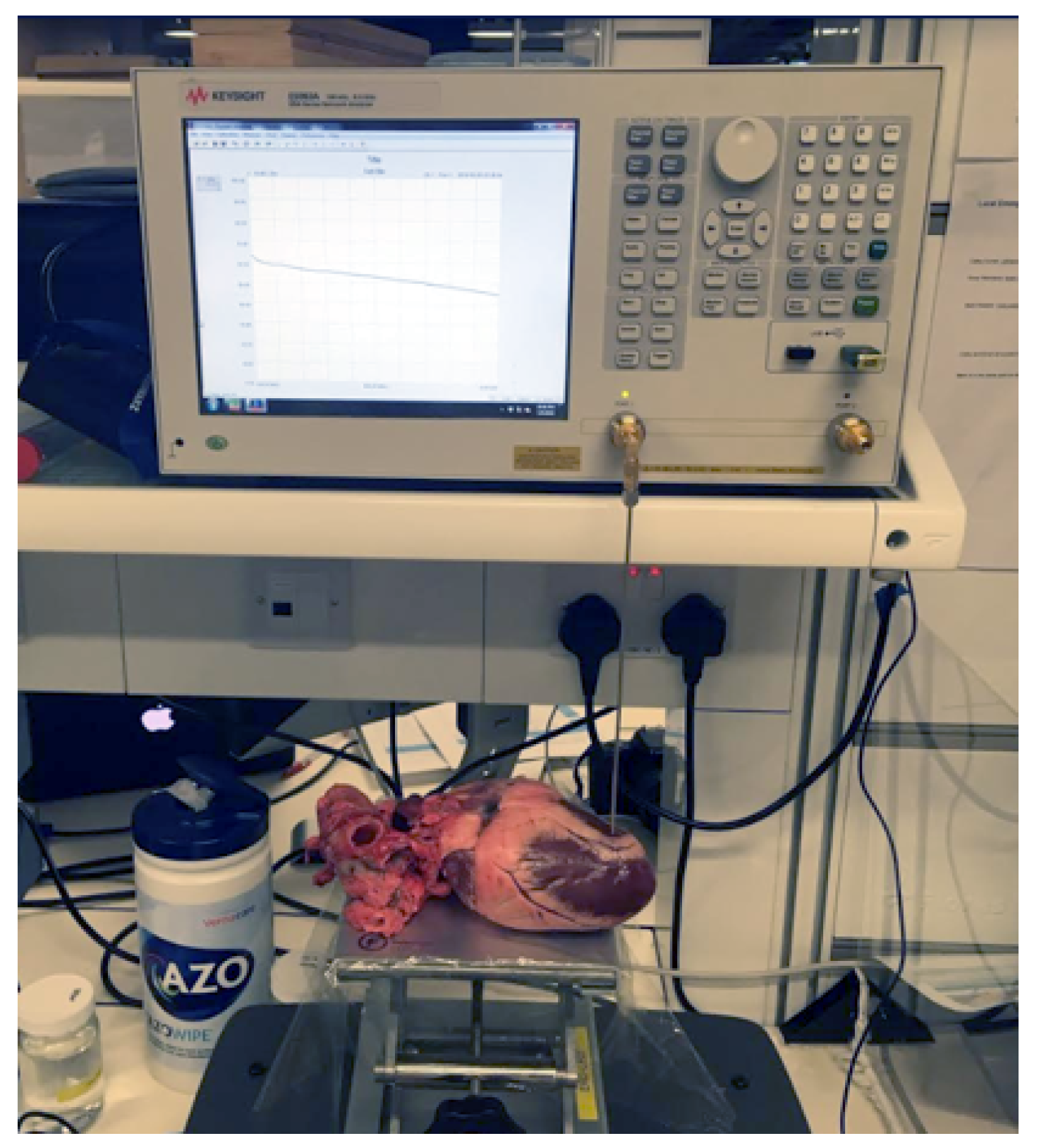 Diagnostics 11 00531 g001 Diagnostics 11 00531 g001