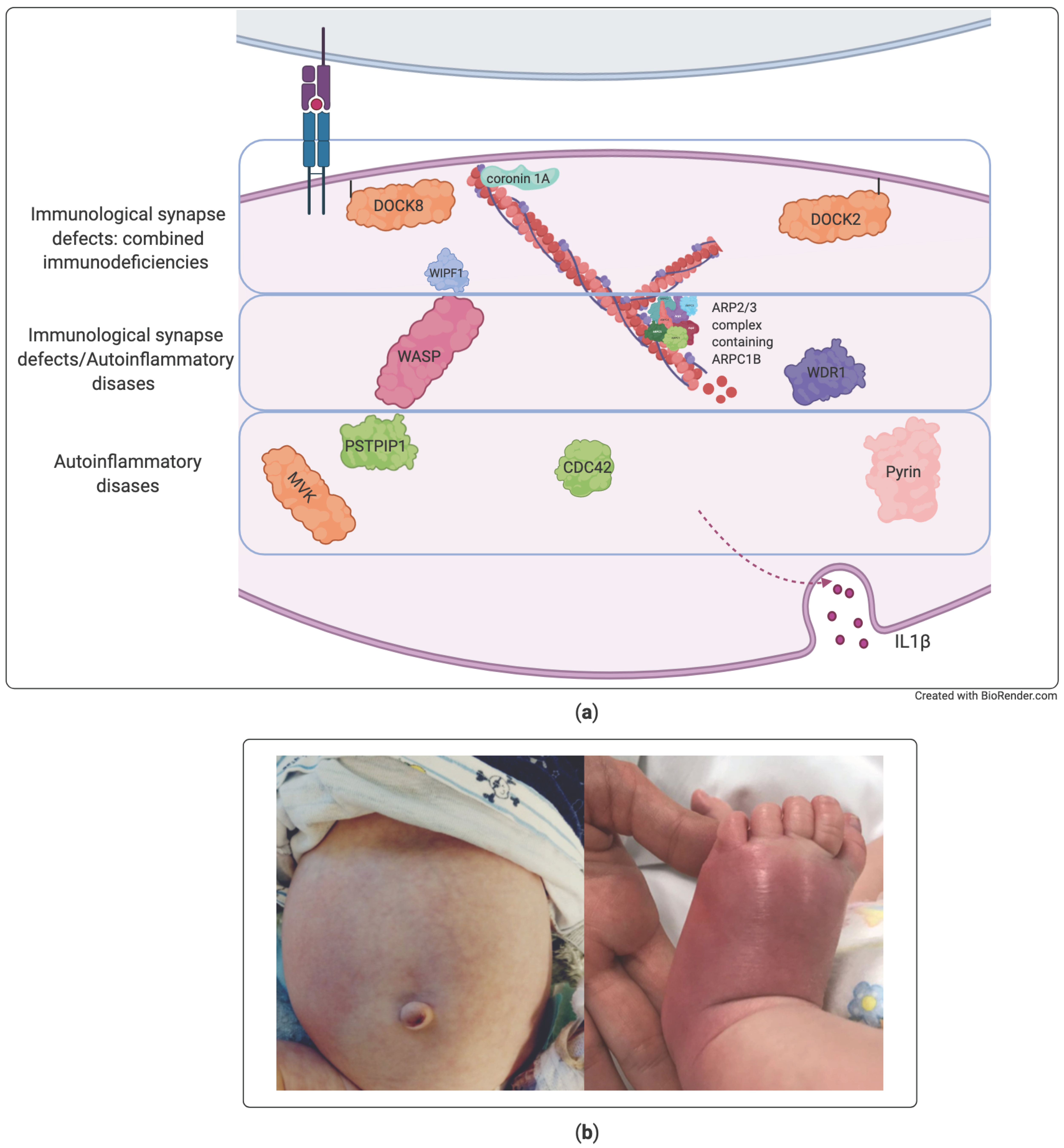 Diagnostics 11 00532 g003 Diagnostics 11 00532 g003