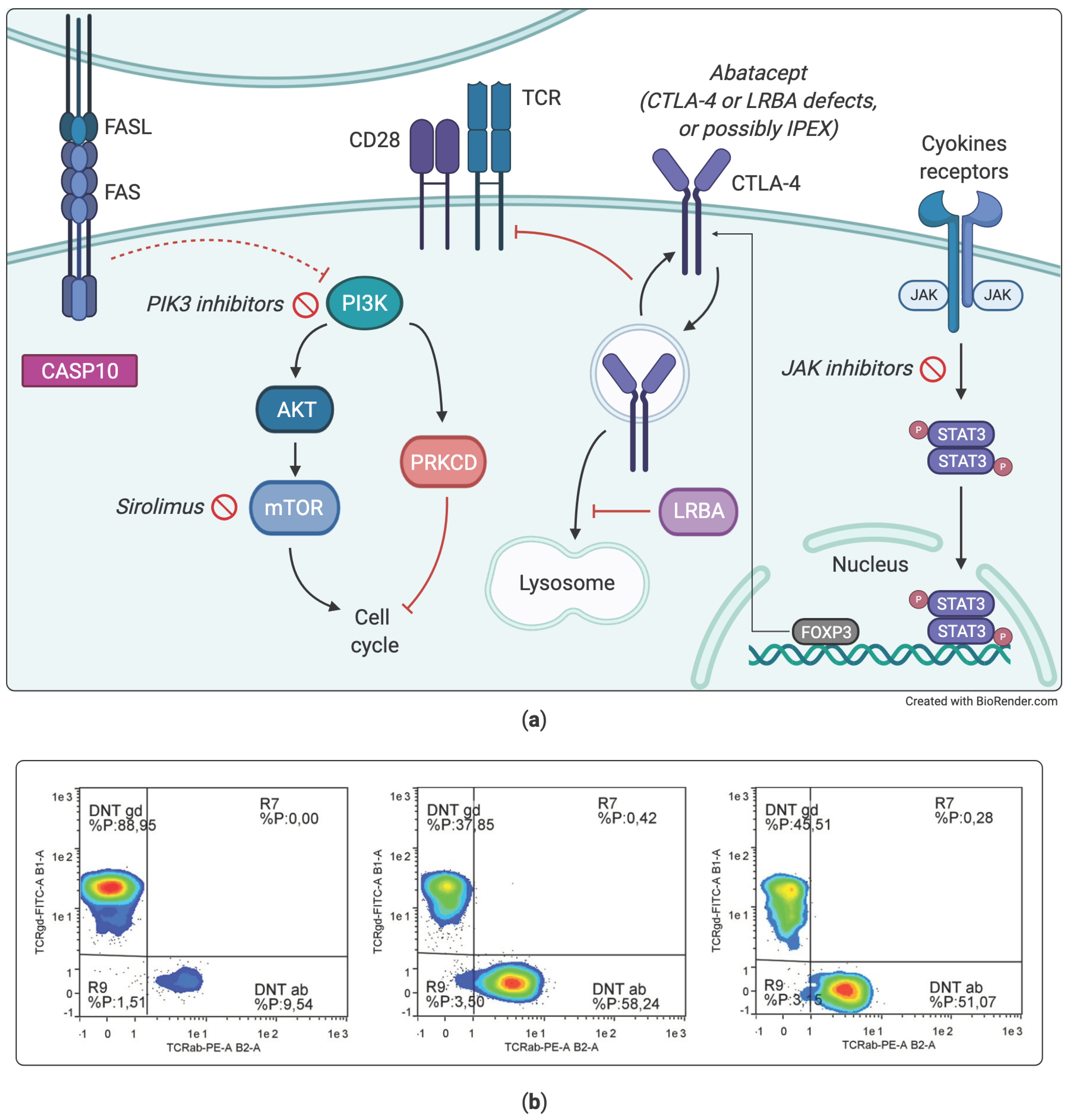 Diagnostics 11 00532 g004 Diagnostics 11 00532 g004
