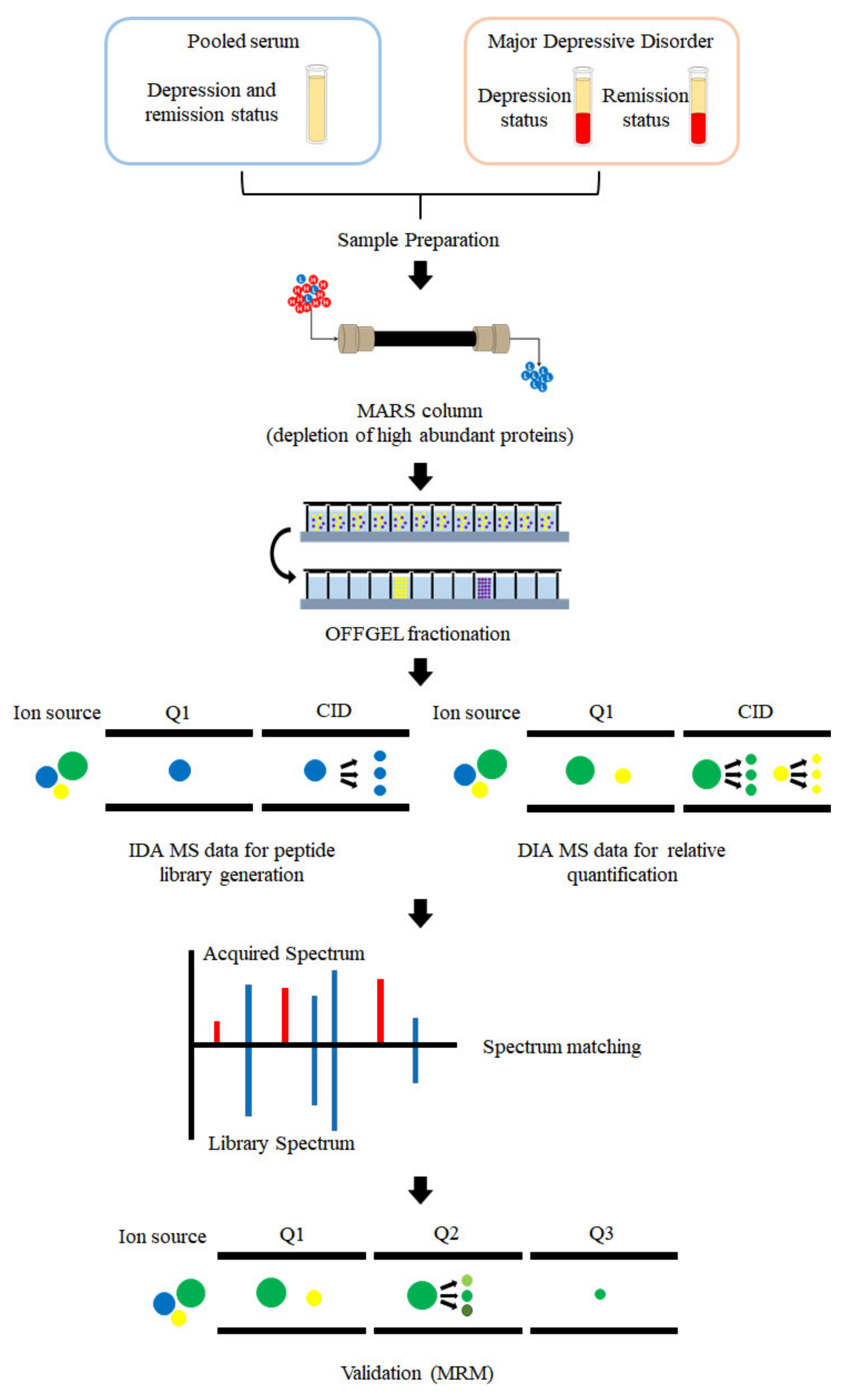 Diagnostics 11 00539 g001