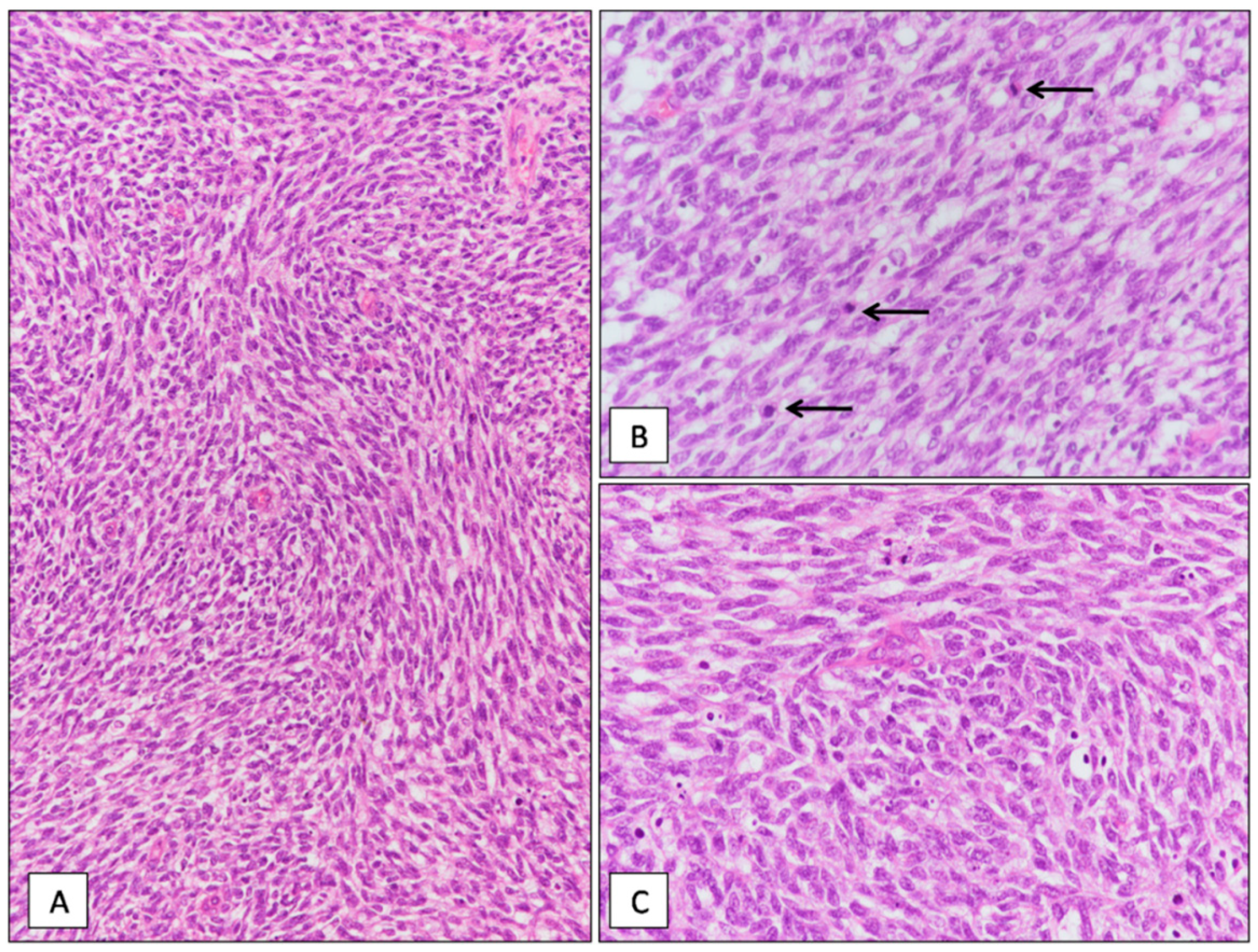 Diagnostics 11 00545 g002 Diagnostics 11 00545 g002