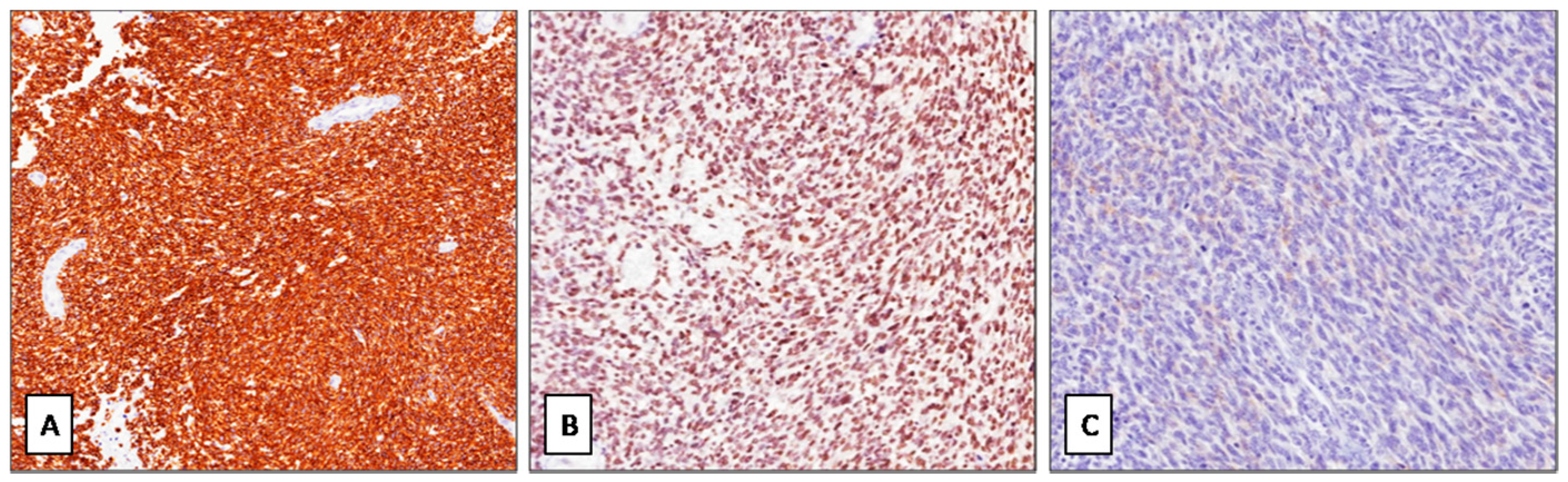 Diagnostics 11 00545 g003 Diagnostics 11 00545 g003