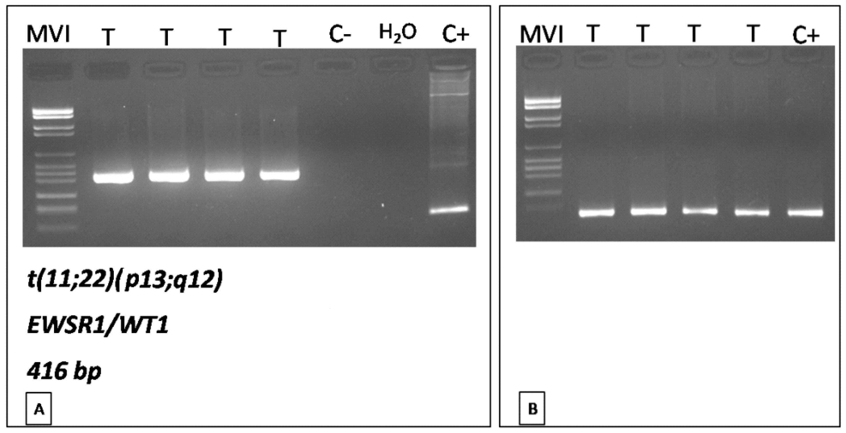 Diagnostics 11 00545 g004 Diagnostics 11 00545 g004