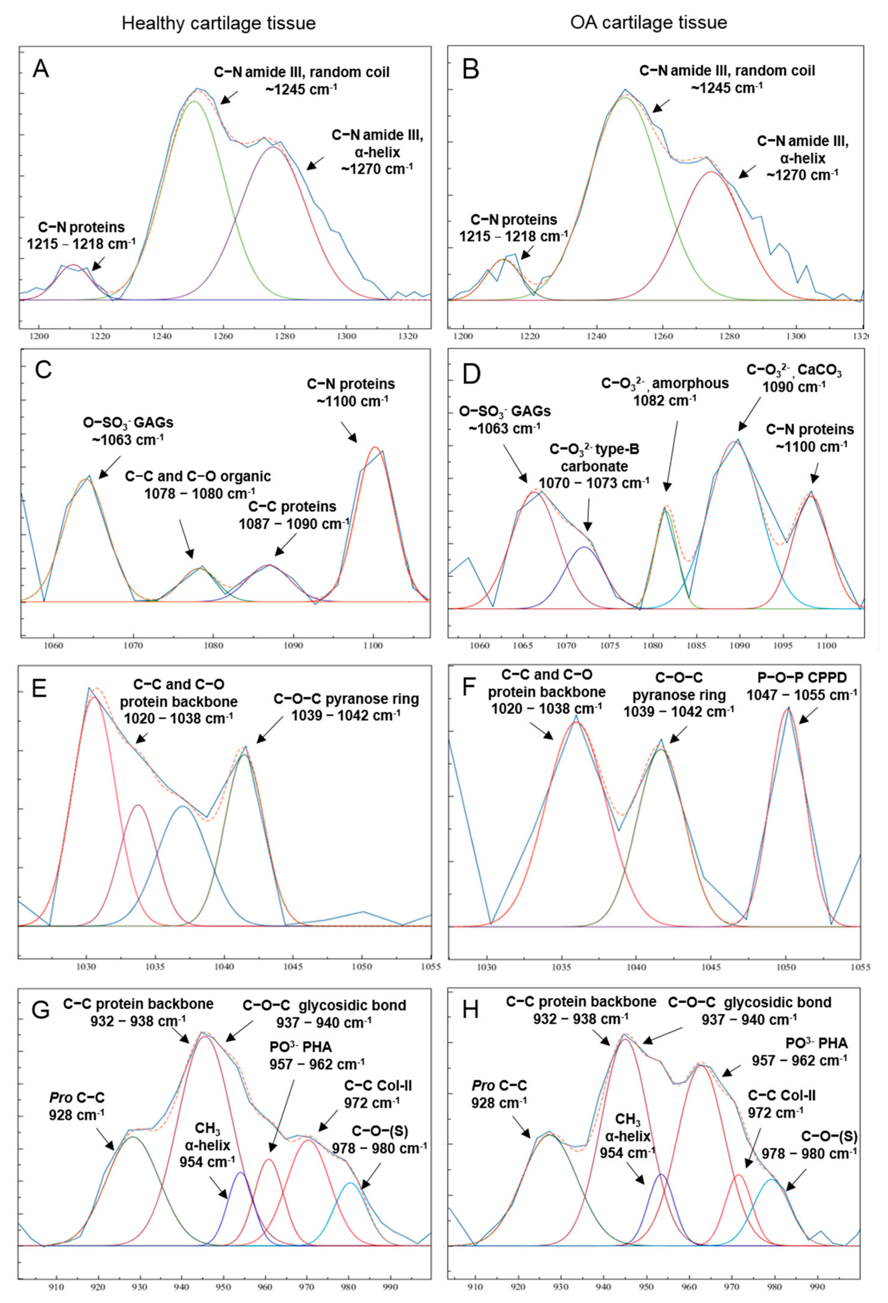 Diagnostics 11 00546 g002