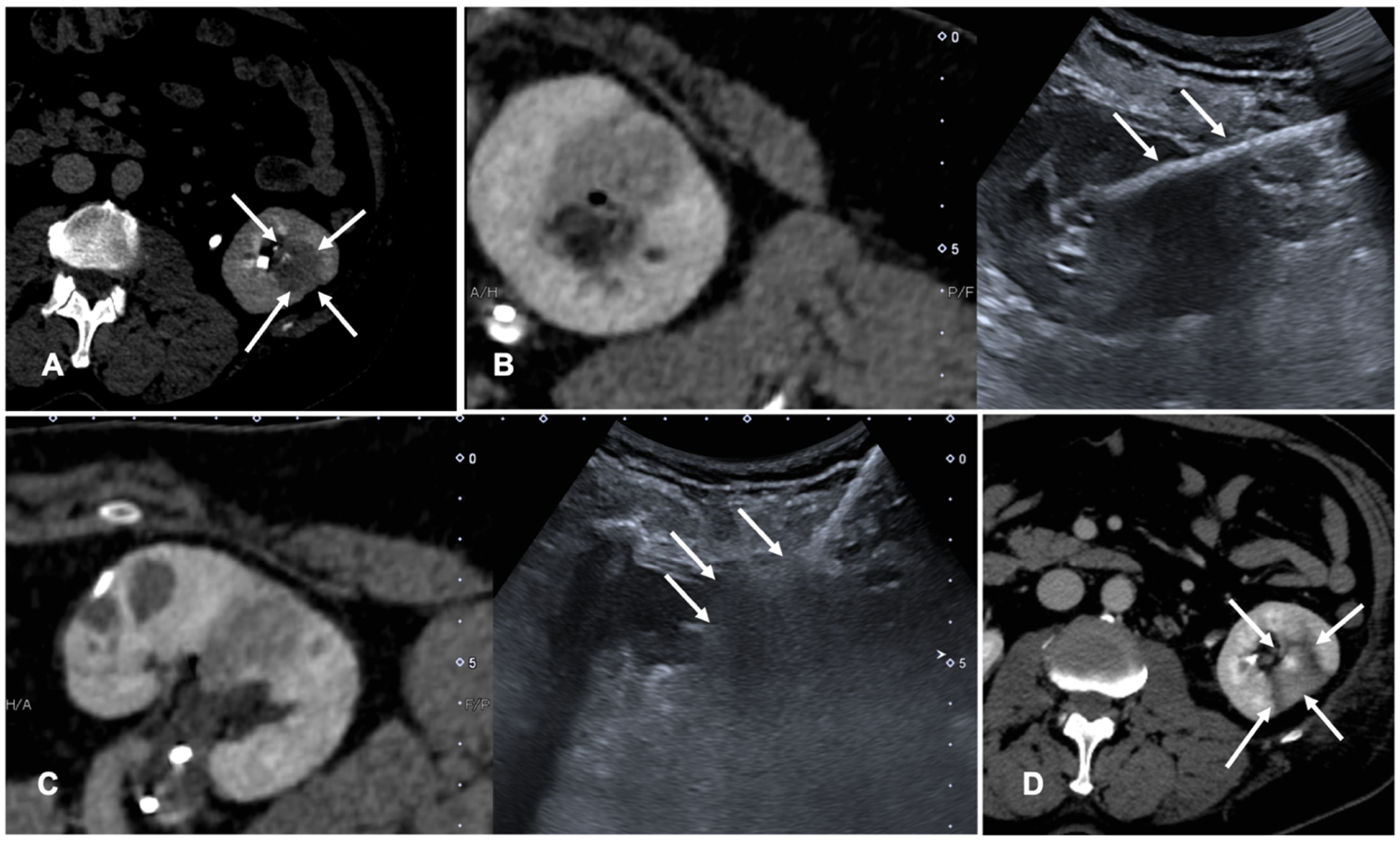 Diagnostics 11 00549 g003