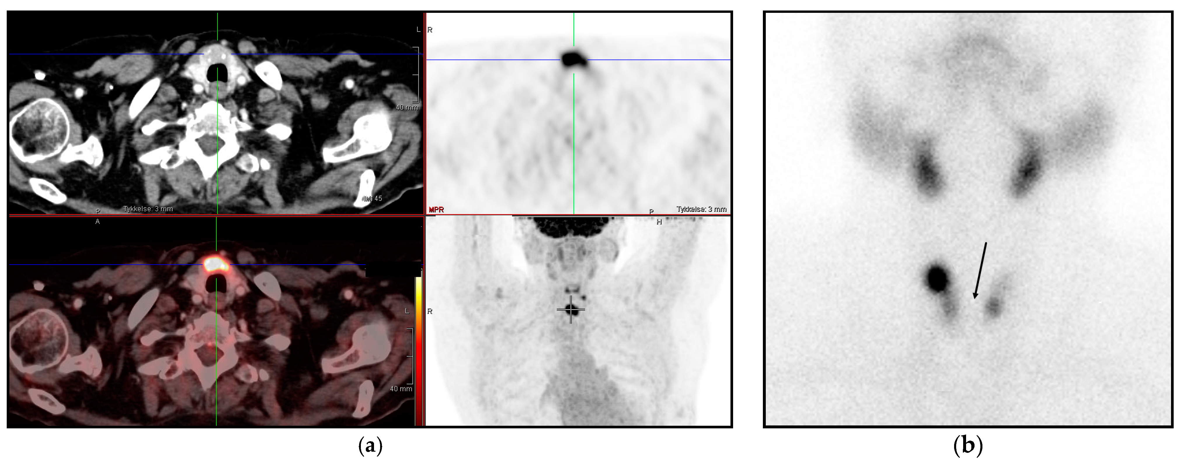 Diagnostics 11 00557 g002