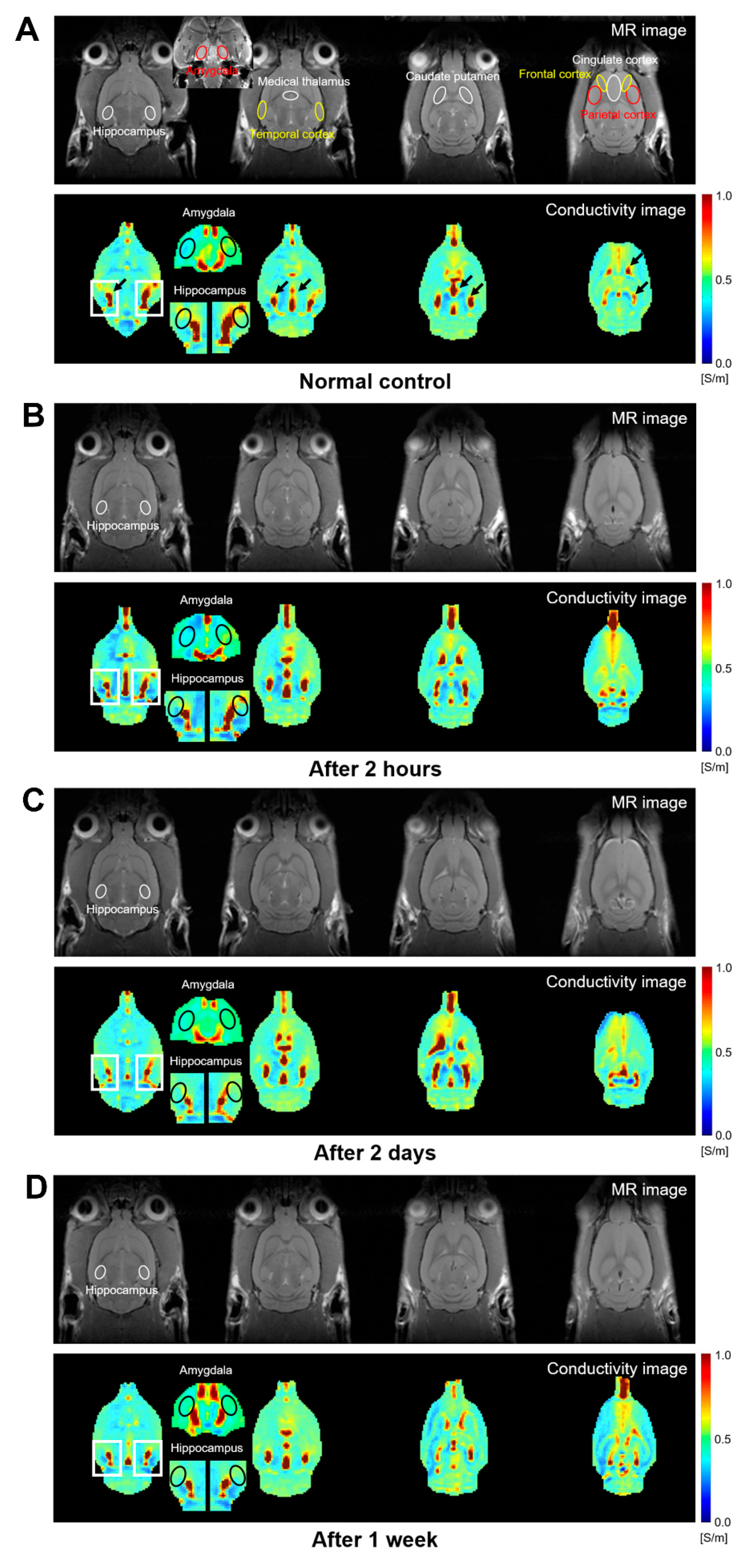Diagnostics 11 00569 g002 Diagnostics 11 00569 g002