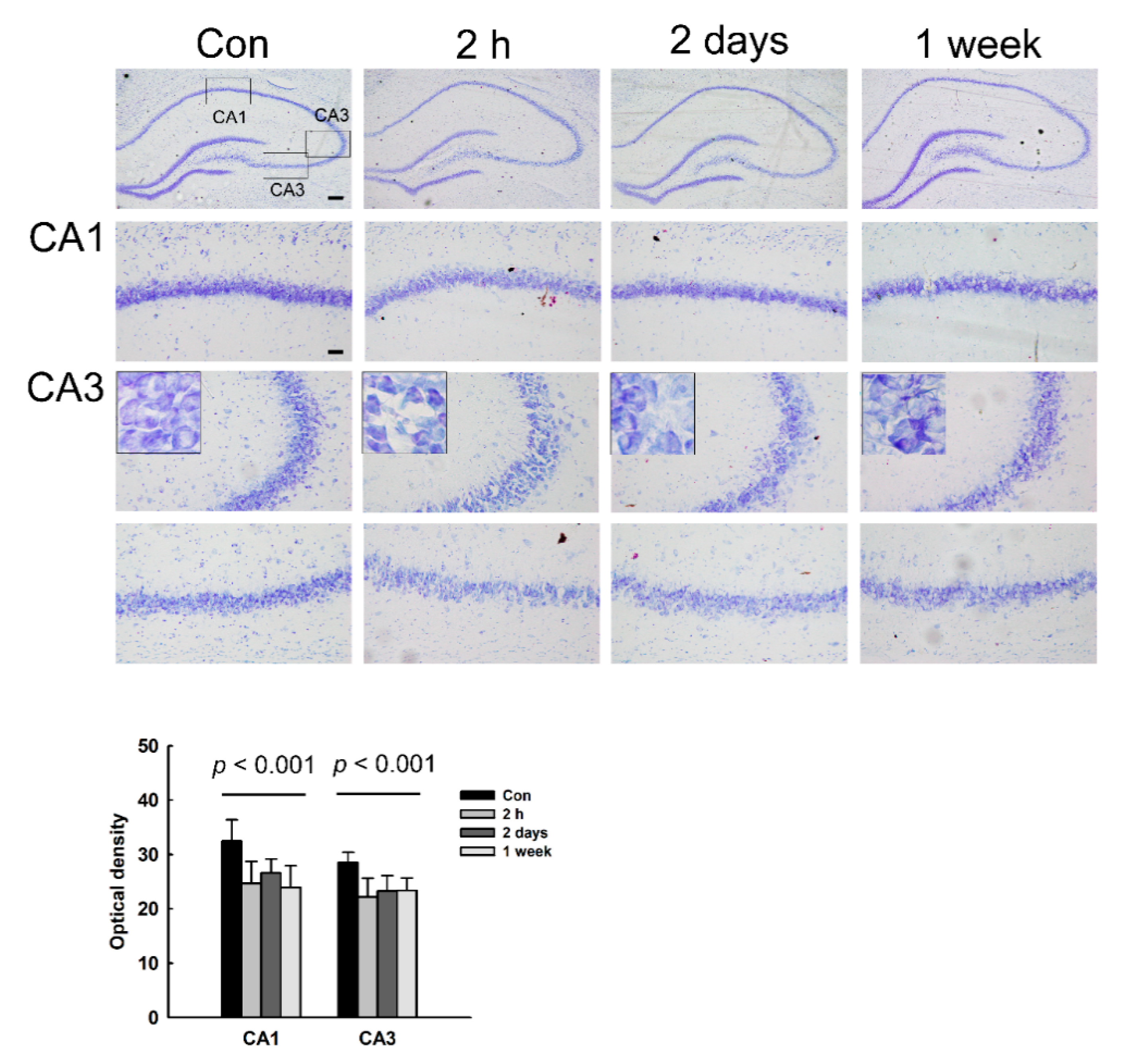 Diagnostics 11 00569 g003 Diagnostics 11 00569 g003