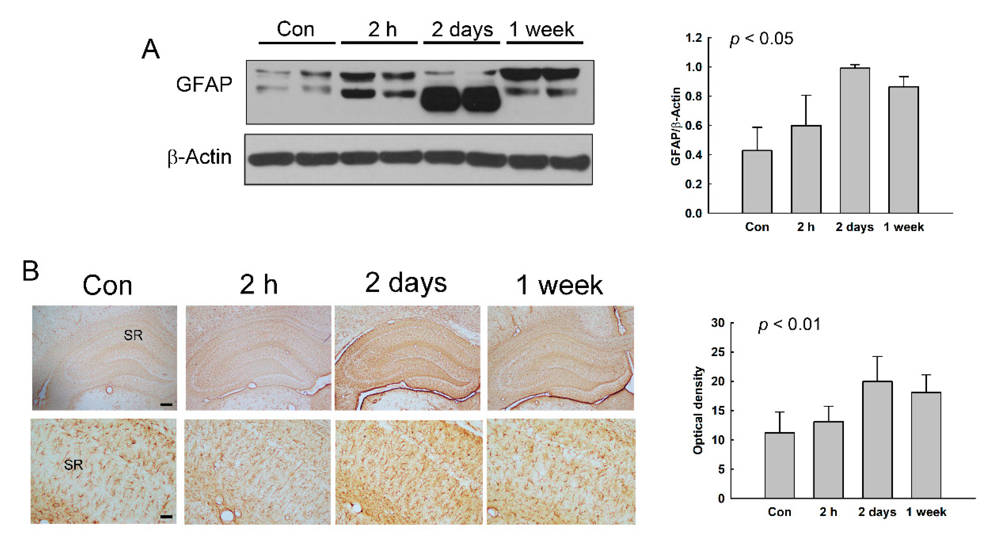 Diagnostics 11 00569 g007 Diagnostics 11 00569 g007