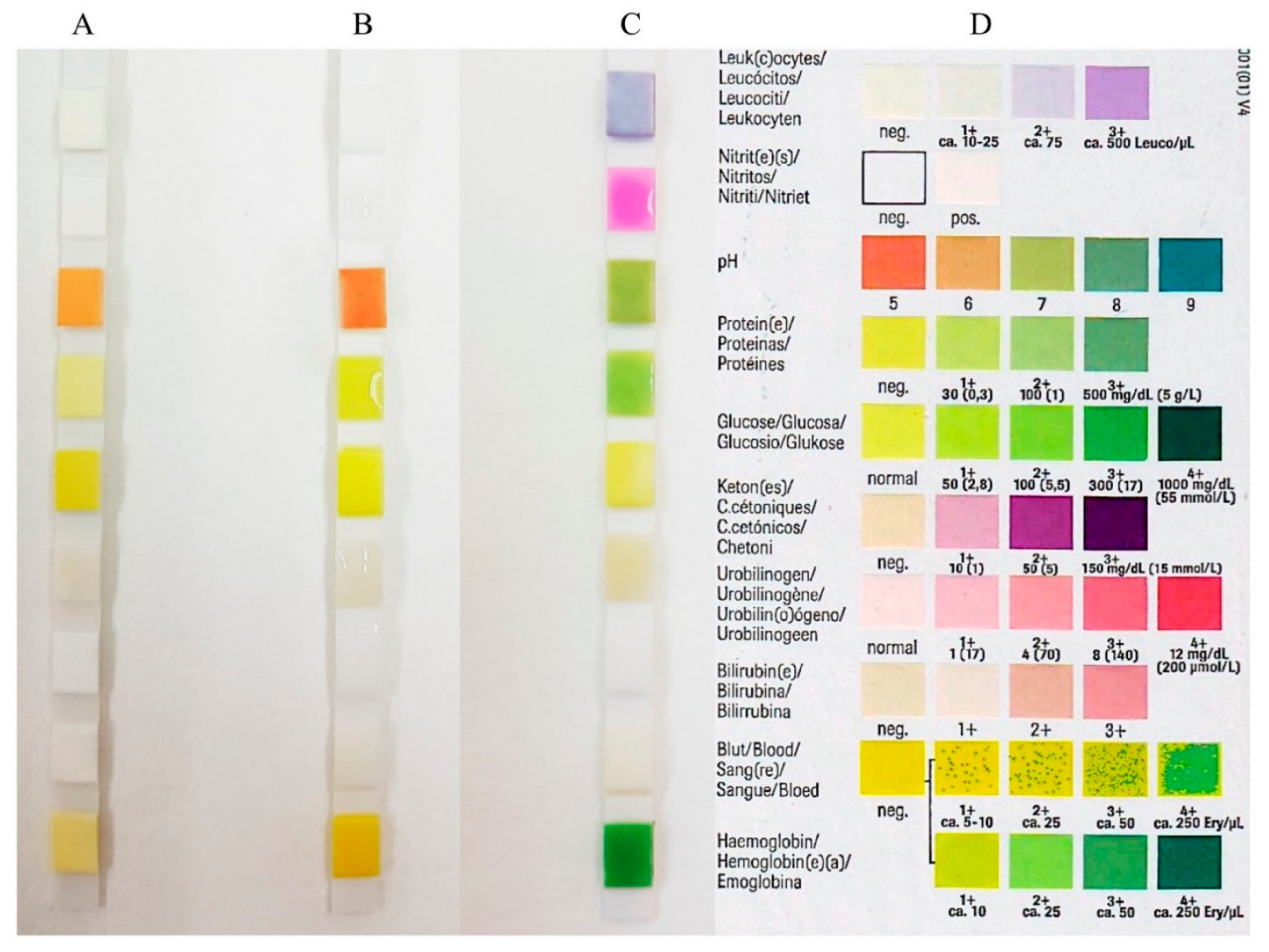 Diagnostics 11 00571 g001 Diagnostics 11 00571 g001