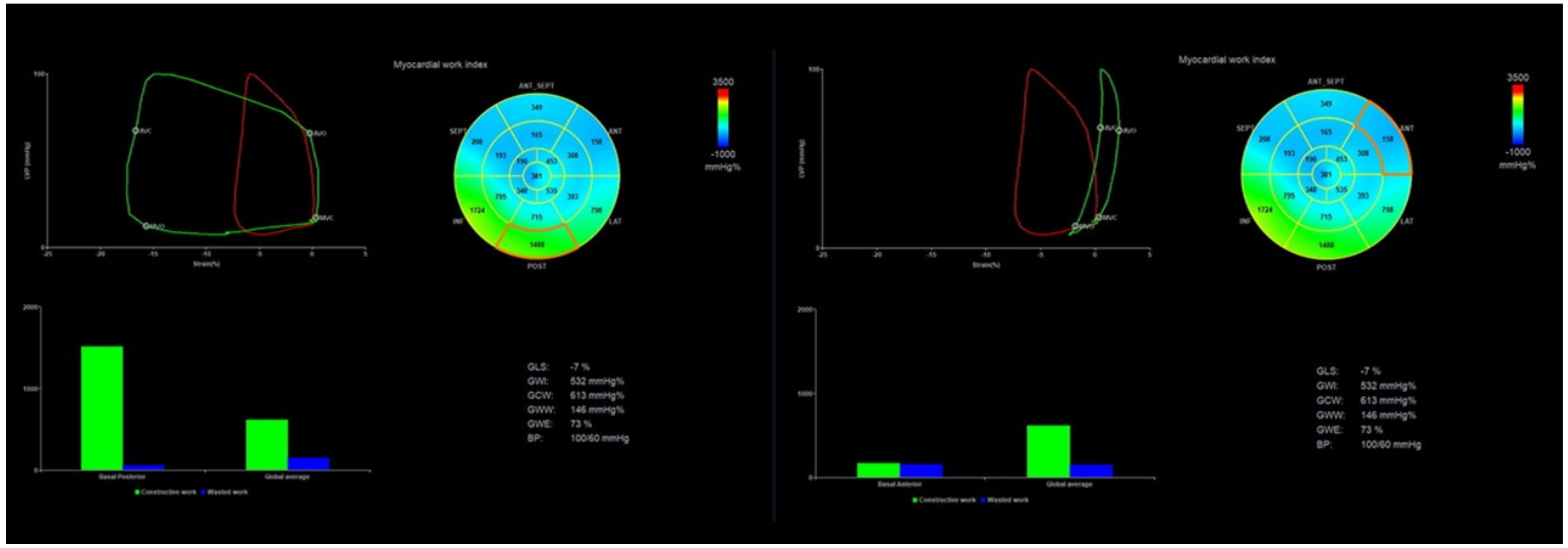 Diagnostics 11 00573 g003 Diagnostics 11 00573 g003