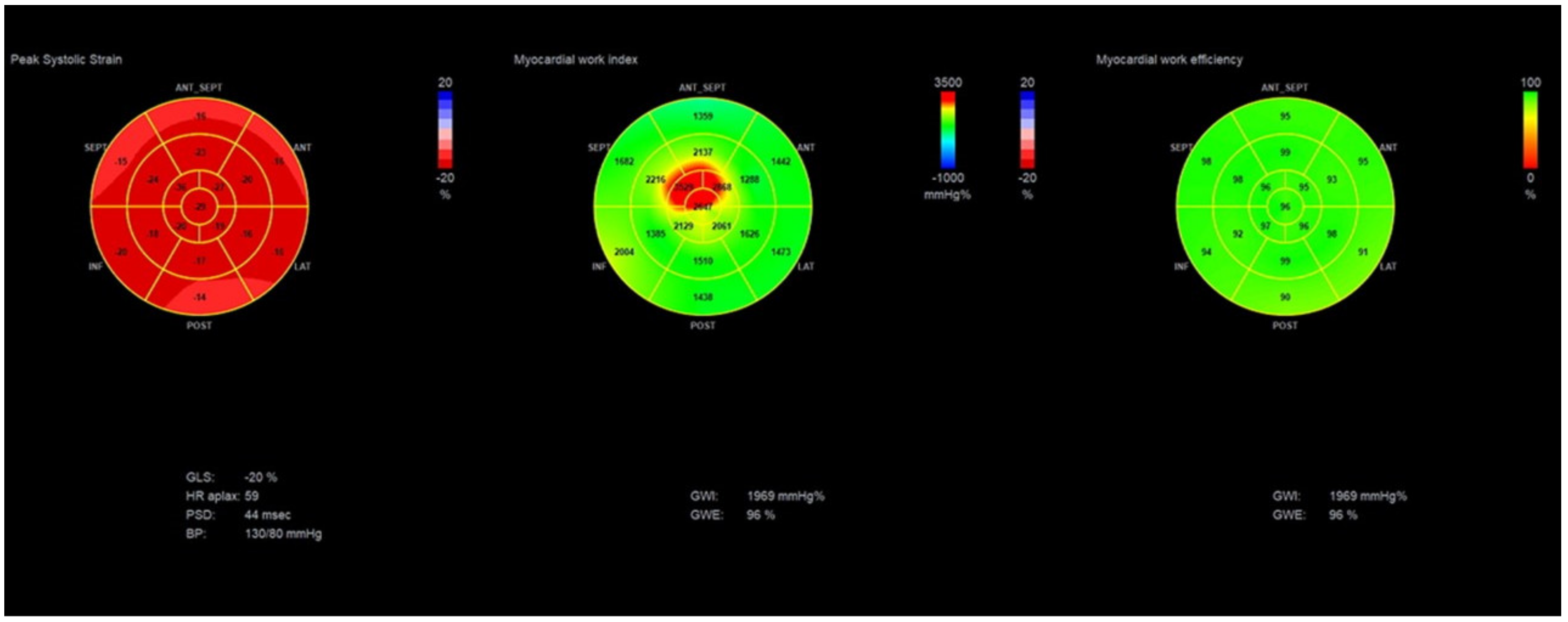 Diagnostics 11 00573 g004 Diagnostics 11 00573 g004